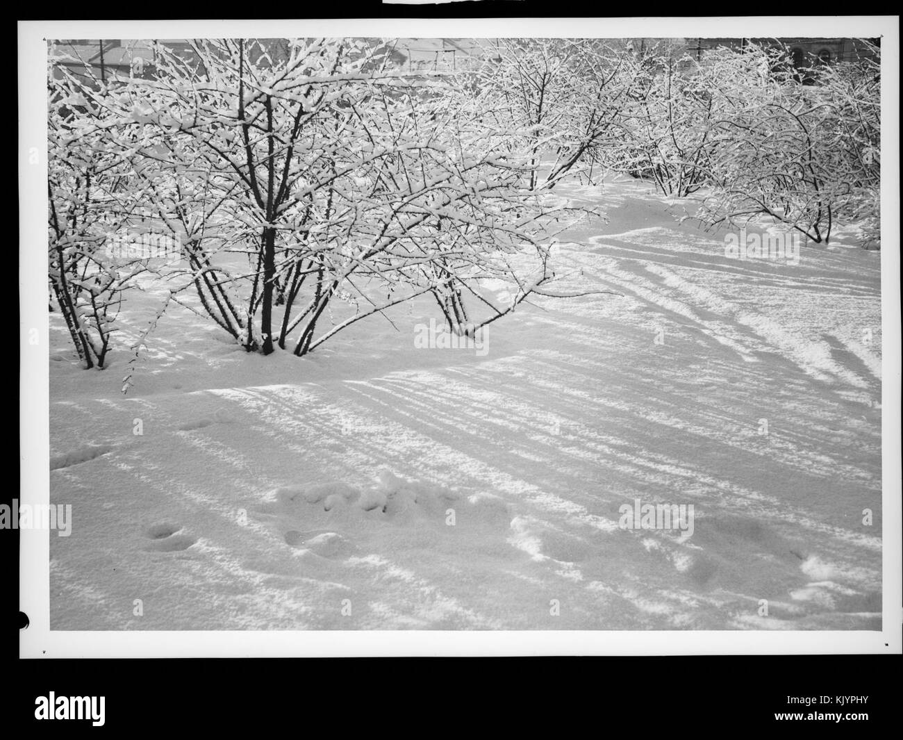 Slottsparken n. nb digifoto 20150217 00198 NB MIT 16705 AFR UN Foto Stock