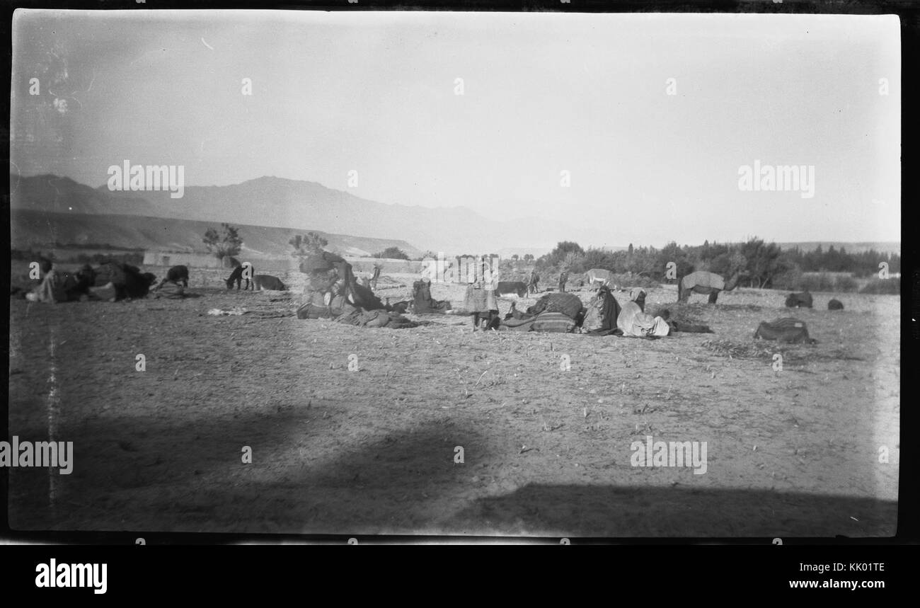 Questo è un record identificato come NO NB BLDSA GM2a304n, che probabilmente fa riferimento a un file o codice documento specifico. Il contesto o il contenuto correlato a questo record non sono specificati. Foto Stock