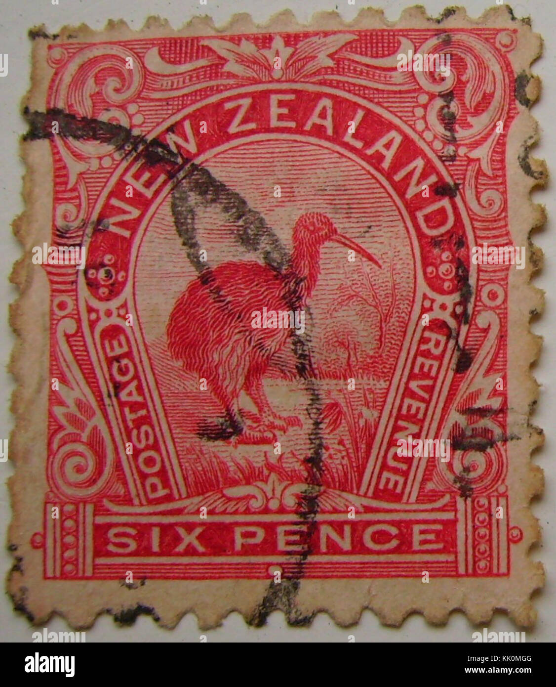 1898 kiwi 6d rosso Foto Stock