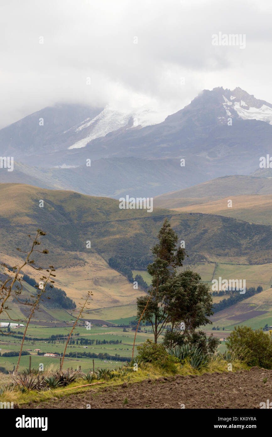 Vulcano Cayambe, terzo picco più alto in Ecuador Ecuador, Sud America Foto Stock