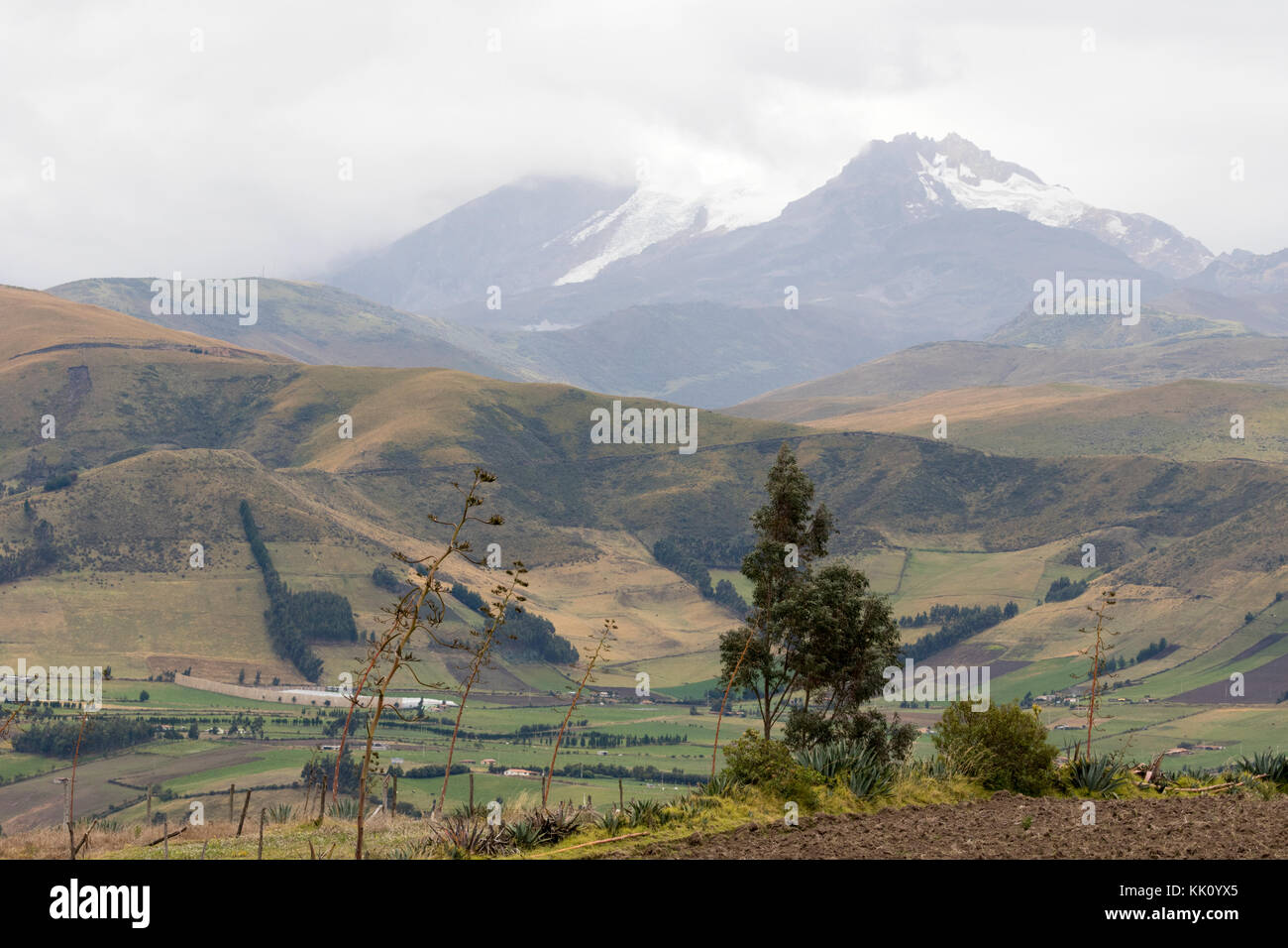 Ecuador paesaggio - Cayambe vulcano, con neve e ghiacciai sull'equatore, Ecuador, Sud America Foto Stock