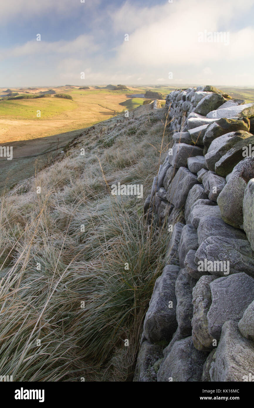 Il Vallo di Adriano a Winshields, Northumberland Foto Stock