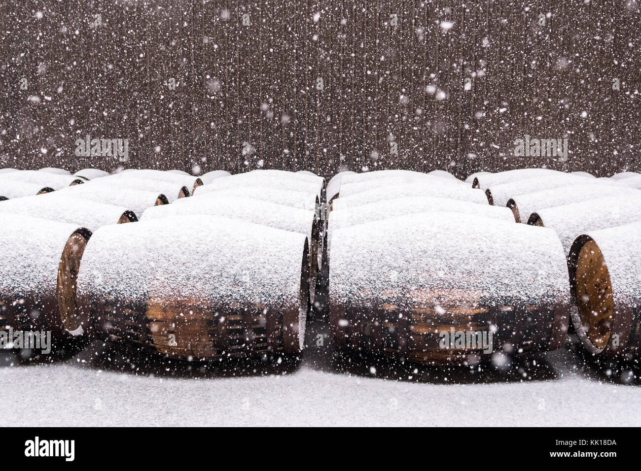 La neve cade sui barili di whisky a Glengoyne Distillery, Scotland, Regno Unito Foto Stock