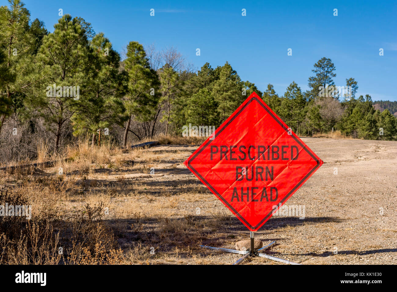 Masterizzazione prescritto segno per la prevenzione degli incendi forestali nei pressi di alberi di pino nel Lincoln National Forest, Nuovo Messico, Stati Uniti d'America. Foto Stock