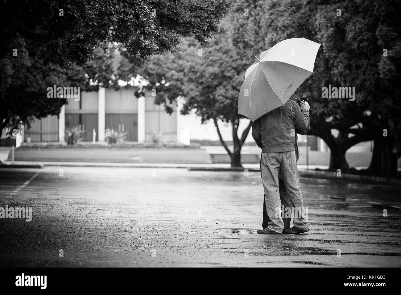 Chiudere l immagine di una coppia in amore in piedi sotto un ombrello sotto la pioggia Foto Stock