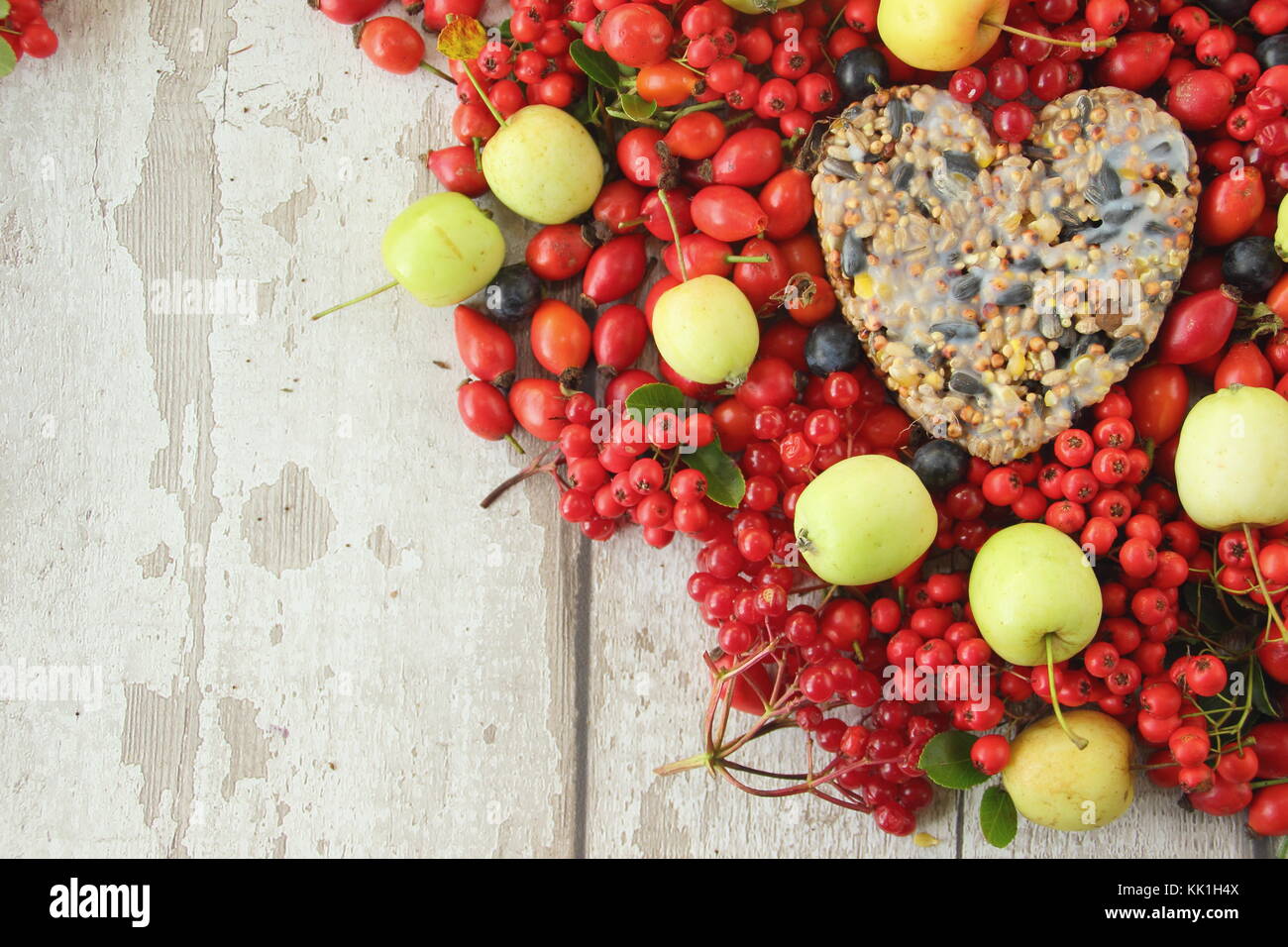 A forma di cuore ad bird feeder realizzato con semi e grasso fuso, sagomato in un cookie cutter, decorata con uccelli selvatici cibo: rosa canina, bacche e mele di granchio Foto Stock