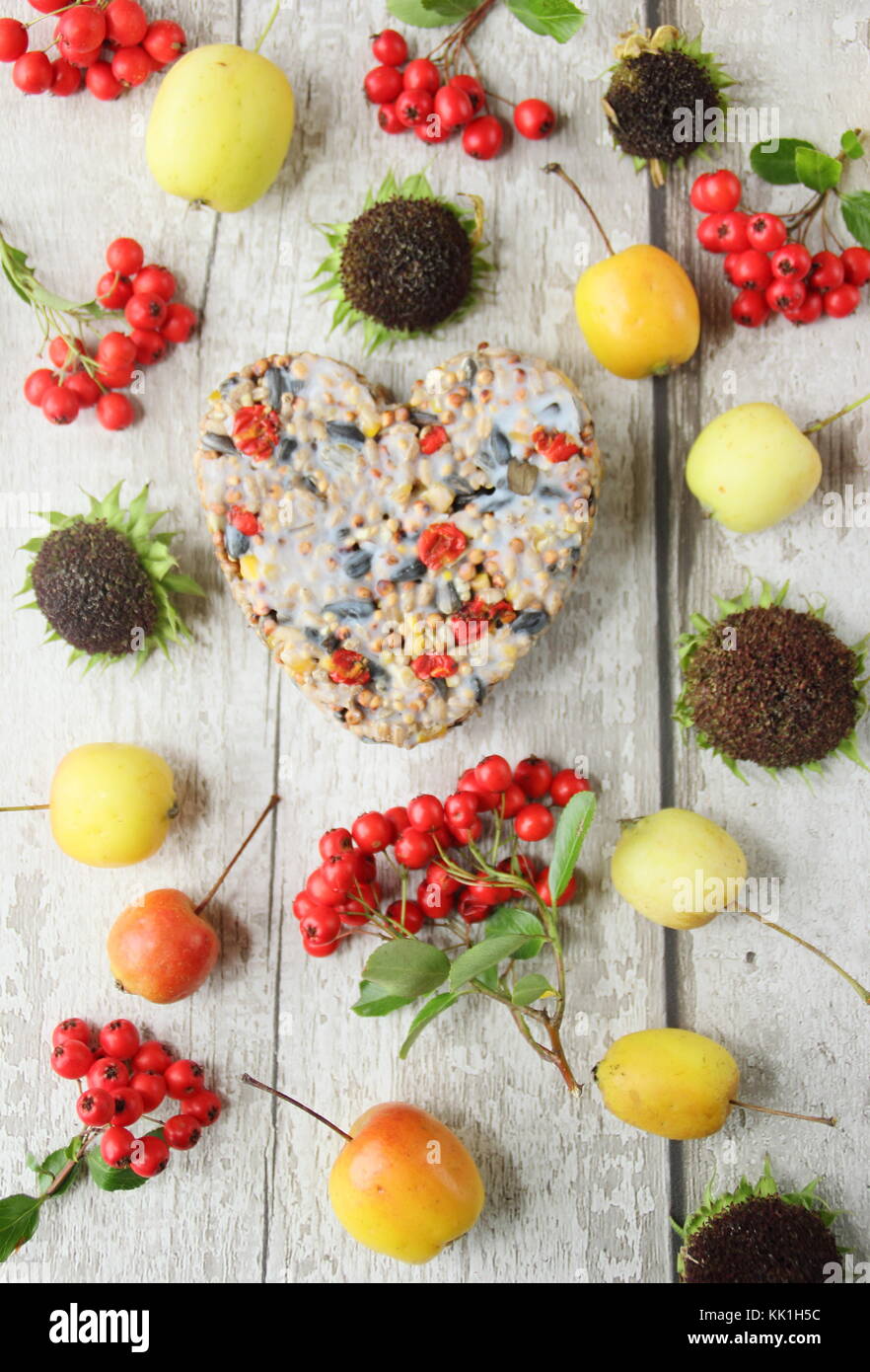 A forma di cuore ad bird feeder fatta con le bacche selvatiche, le sementi e il grasso fuso, sagomato in un cookie cutter, decorata con frutti di bosco, granchio mele e girasoli Foto Stock