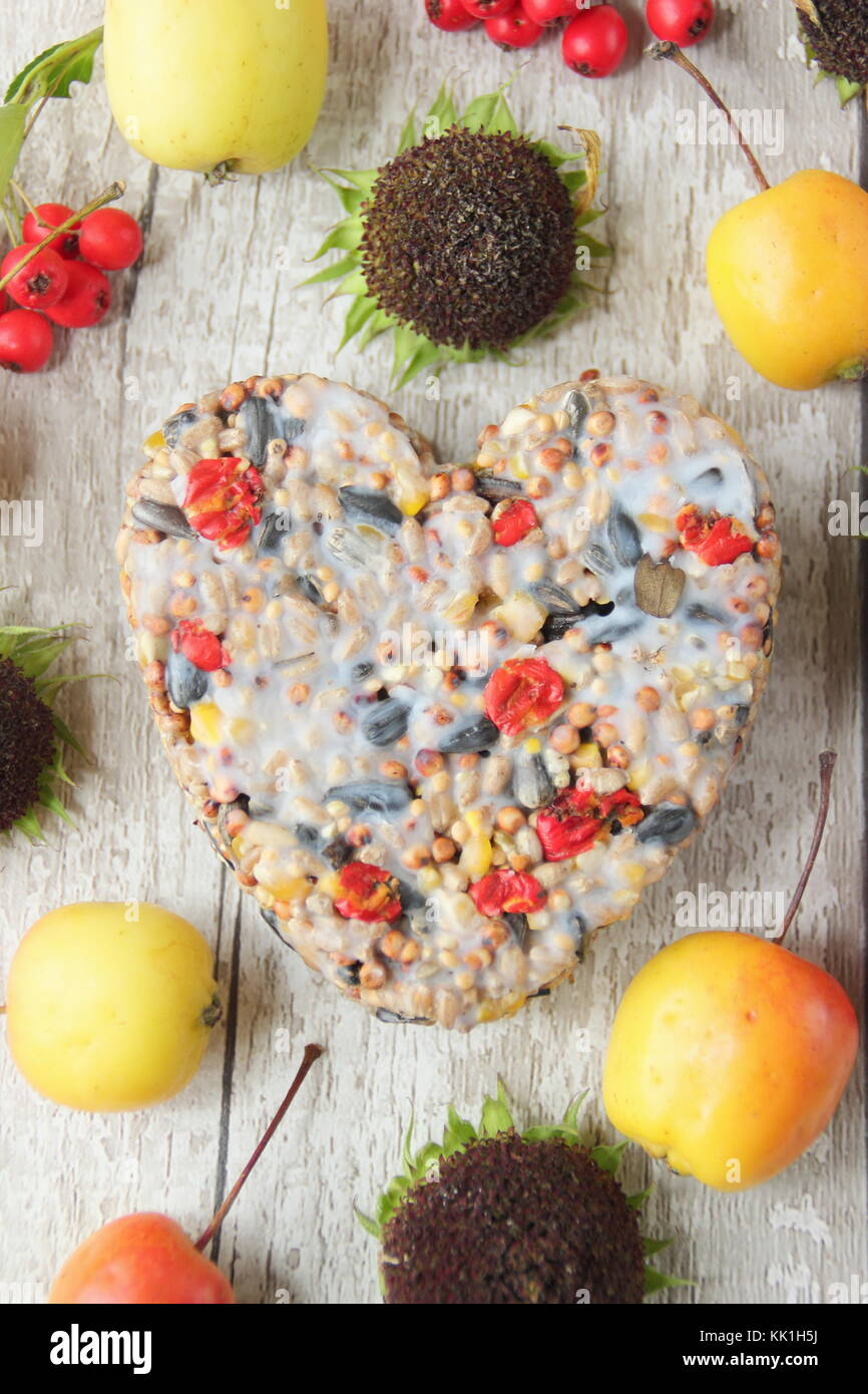 A forma di cuore ad bird feeder fatta con le bacche selvatiche, le sementi e il grasso fuso, sagomato in un cookie cutter, decorata con frutti di bosco, granchio mele e girasoli Foto Stock