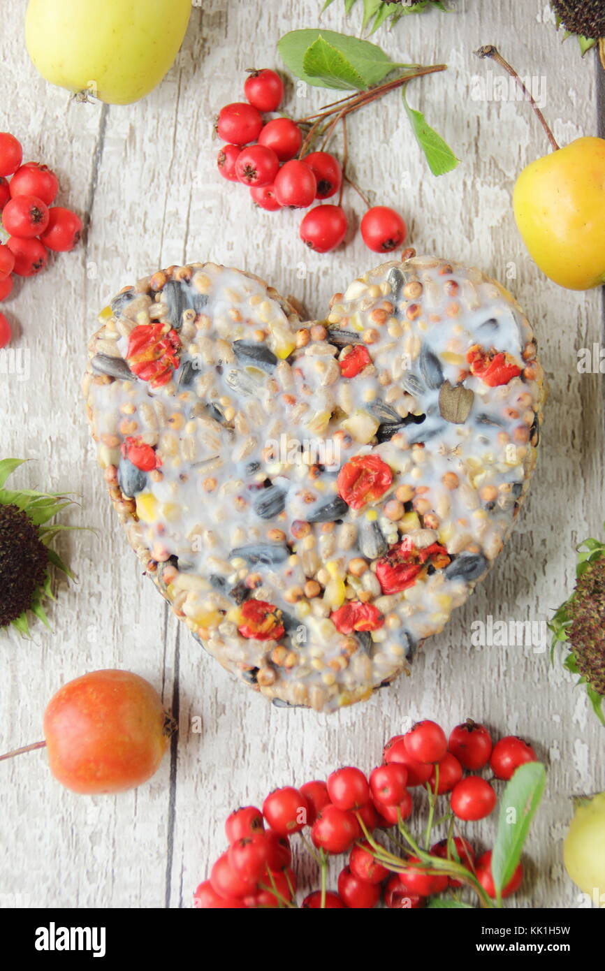 A forma di cuore ad bird feeder fatta con le bacche selvatiche, le sementi e il grasso fuso, sagomato in un cookie cutter, decorata con frutti di bosco, granchio mele e girasoli Foto Stock