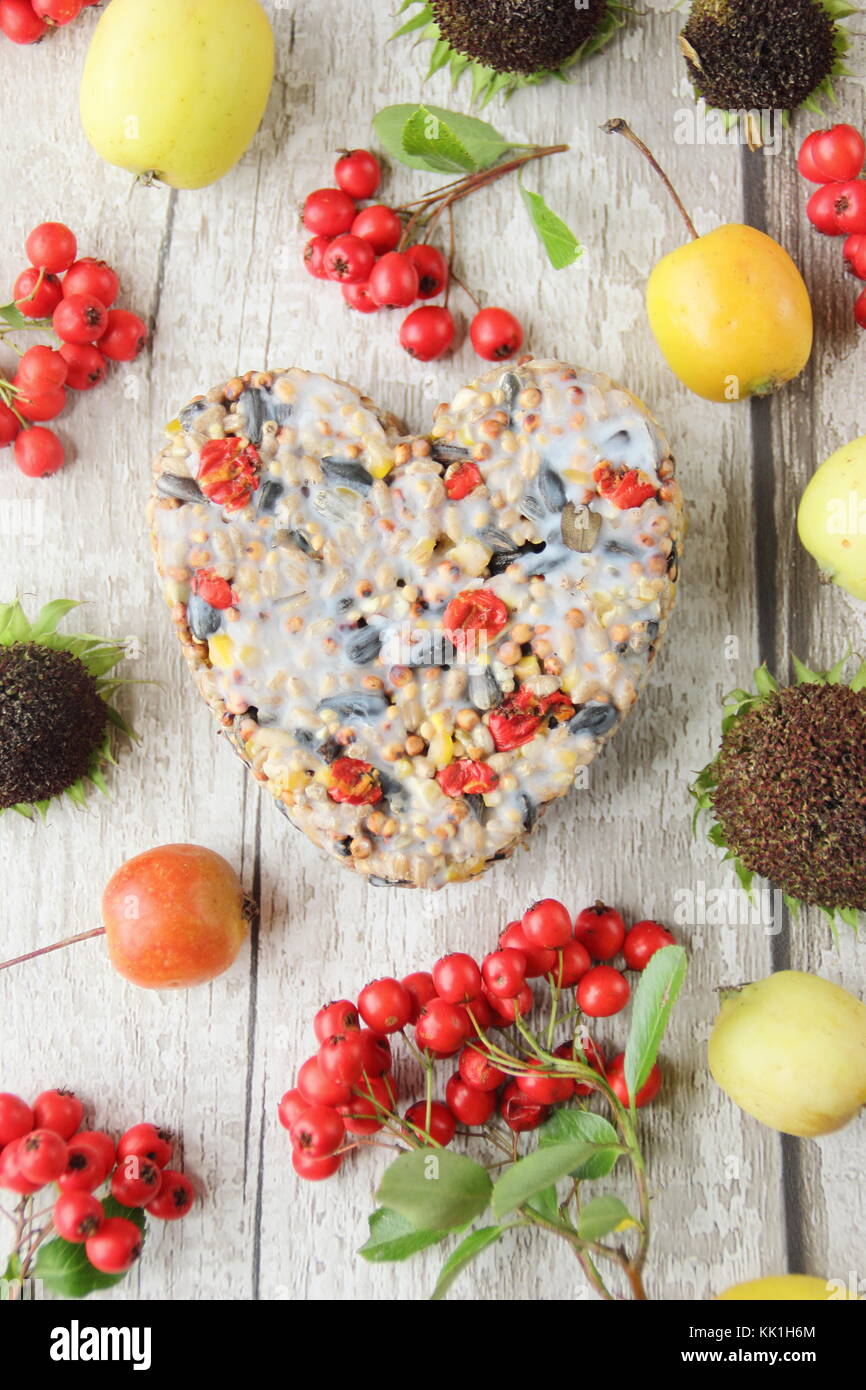 A forma di cuore ad bird feeder fatta con le bacche selvatiche, le sementi e il grasso fuso, sagomato in un cookie cutter, decorata con frutti di bosco, granchio mele e girasoli Foto Stock