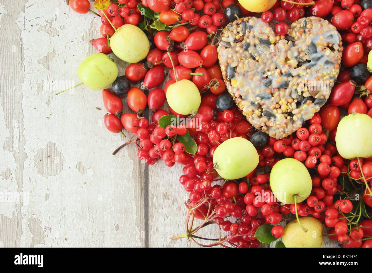 A forma di cuore ad bird feeder realizzato con semi e grasso fuso, sagomato in un cookie cutter, decorata con uccelli selvatici cibo: rosa canina, bacche e mele di granchio Foto Stock