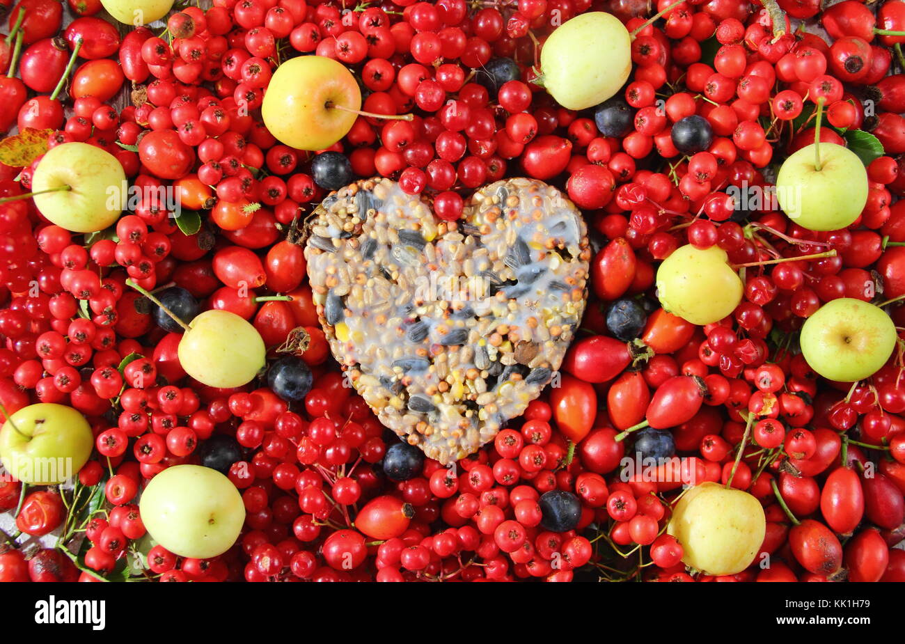 A forma di cuore ad bird feeder realizzato con semi e grasso fuso, sagomato in un cookie cutter, decorata con uccelli selvatici cibo: rosa canina, bacche e mele di granchio Foto Stock