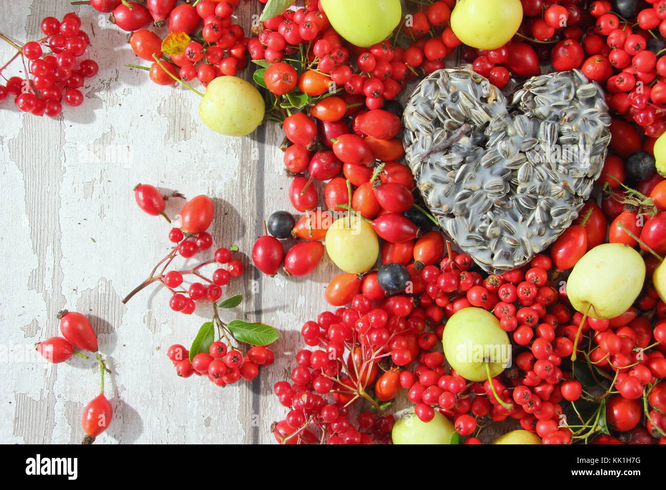 A forma di cuore ad bird feeder realizzato con semi e grasso fuso, sagomato in un cookie cutter, decorata con uccelli selvatici cibo: rosa canina, bacche e mele di granchio Foto Stock