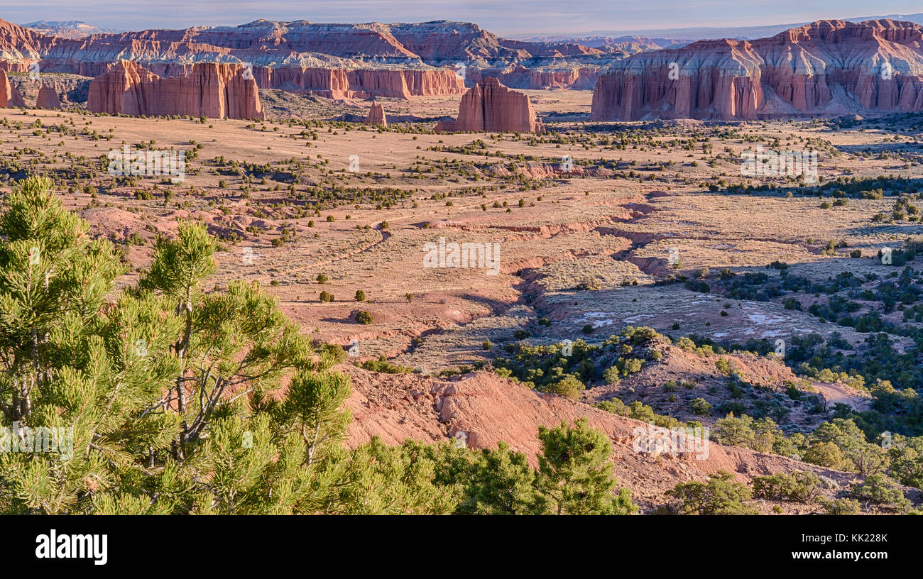Valle della cattedrale si affacciano a Capitol Reef National Park nello Utah Foto Stock