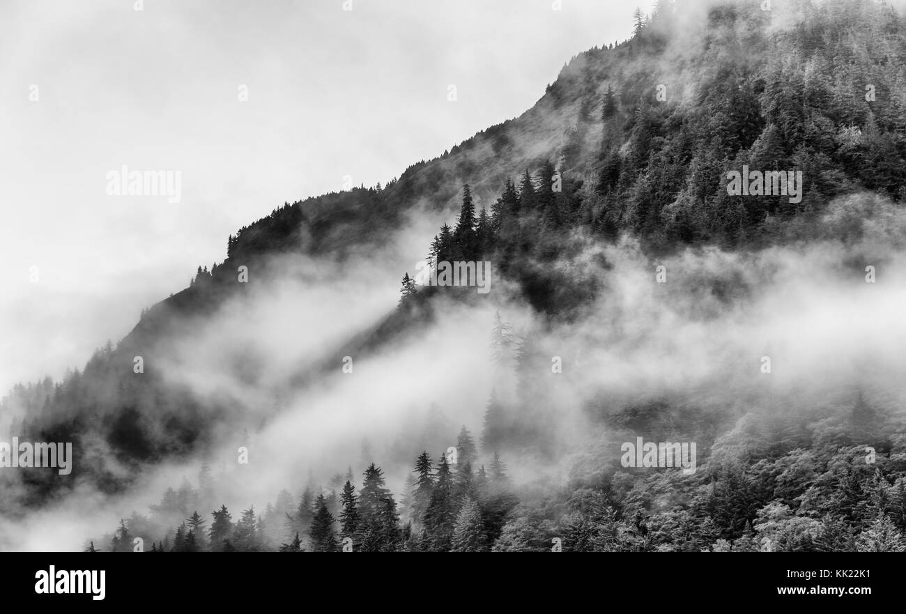 Cima della montagna con la densa nebbia e fumo in Alaska Foto Stock