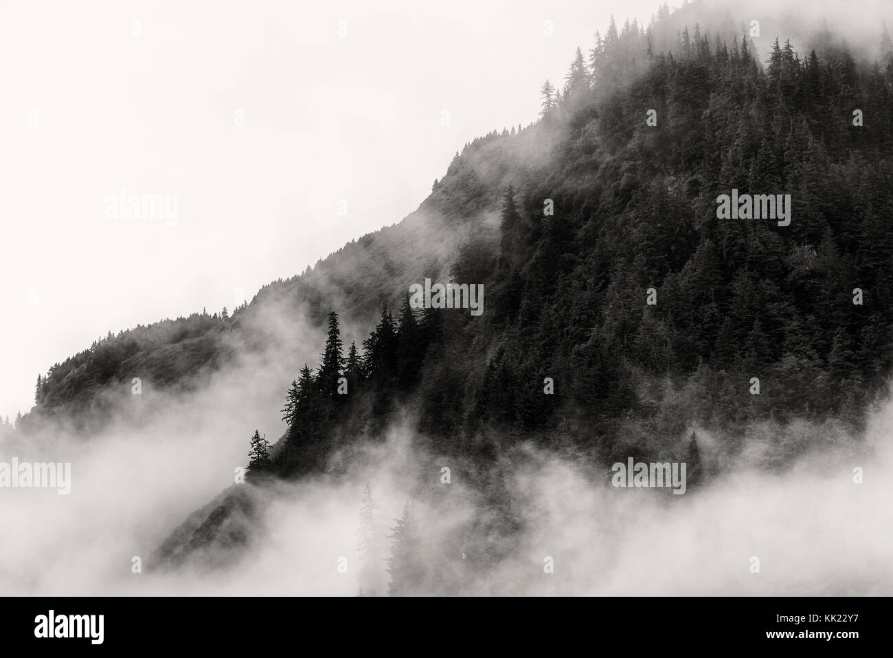 Smoky moumtain con fumo, nebbia e opacità sulla cima della montagna con pino Foto Stock