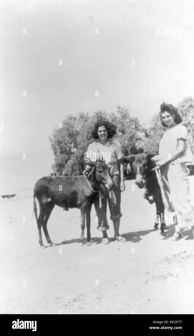 Daniyal ii Foto Stock