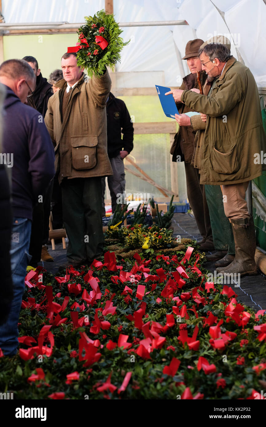 Burford house, Tenbury Wells, worcestershire - martedì 28 novembre 2017 - Il primo Natale agrifoglio e vischio asta della stagione. vischio aste sono state organizzate a Tenbury Wells per oltre 160 anni. l'asta inizia con la vendita di holly ghirlande. acquirenti hanno viaggiato da tutto il Regno Unito a partecipare. foto steven maggio / alamy live news Foto Stock