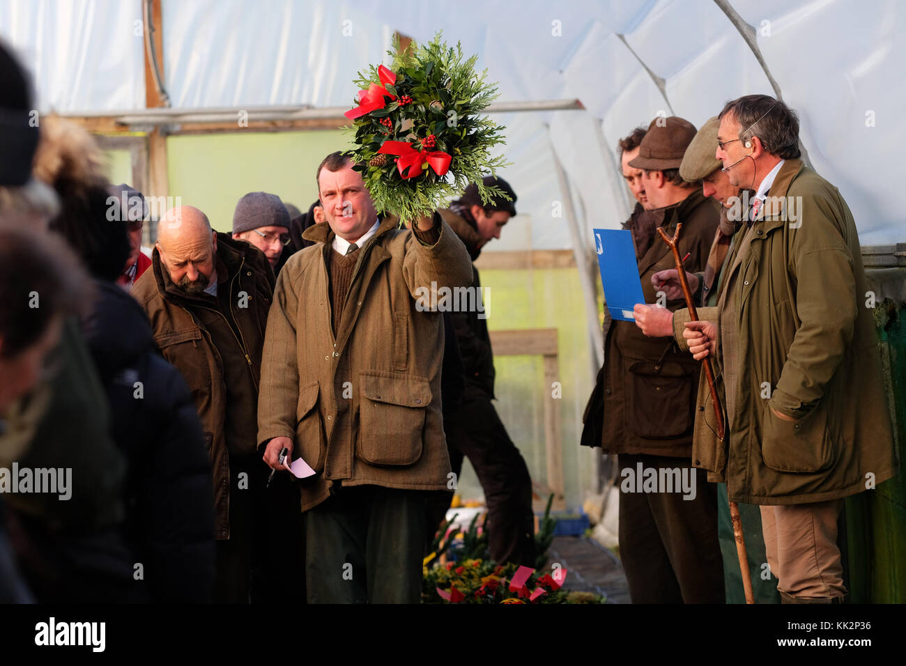Burford house, Tenbury Wells, worcestershire - martedì 28 novembre 2017 - Il primo Natale agrifoglio e vischio asta della stagione. vischio aste sono state organizzate a Tenbury Wells per oltre 160 anni. l'asta inizia con la vendita di holly ghirlande. acquirenti hanno viaggiato da tutto il Regno Unito a partecipare. foto steven maggio / alamy live news Foto Stock