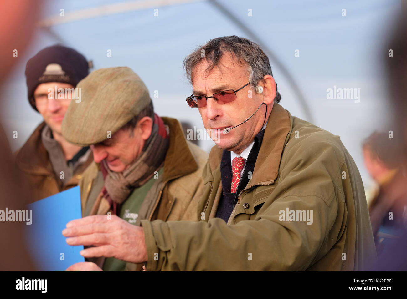 Burford house, Tenbury Wells, worcestershire - martedì 28 novembre 2017 - Il primo Natale agrifoglio e vischio asta della stagione. vischio aste sono state organizzate a Tenbury Wells per oltre 160 anni. banditore campione del nick in azione la vendita di holly ghirlande. foto steven maggio / alamy live news Foto Stock