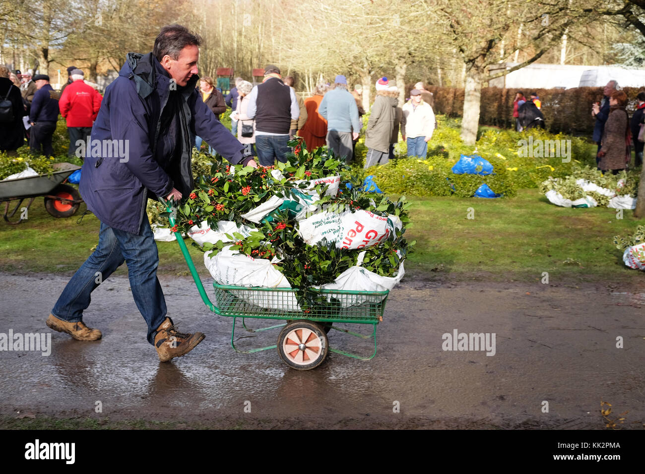 Burford house, Tenbury Wells, worcestershire - martedì 28 novembre 2017 - Il primo Natale agrifoglio e vischio asta della stagione. vischio aste sono state organizzate a Tenbury Wells per oltre 160 anni. un acquirente trasporta i loro fasci di agrifoglio via dopo l'asta su un nitido inverno mattina. foto steven maggio / alamy live news Foto Stock