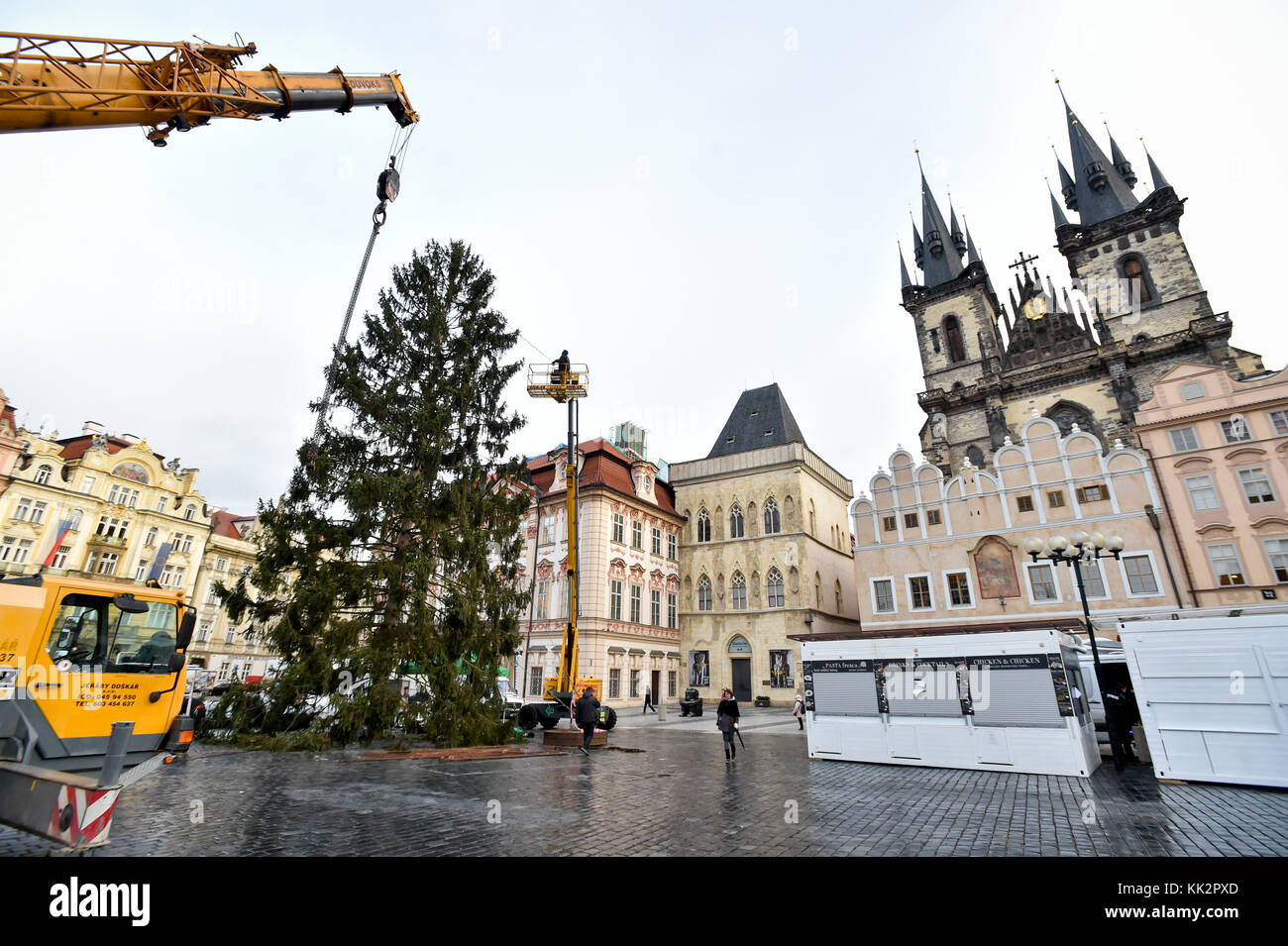 Praga, Repubblica Ceca. 28 novembre 2017. L'albero di Natale di Praga viene installato da specialisti nella Piazza della città Vecchia a Praga, Repubblica Ceca, il 28 novembre 2017. L'abete rosso norvegese (Picea abies) è alto circa 24 metri. L'albero si illuminerà il 2 dicembre. Crediti: Vit Simanek/CTK Photo/Alamy Live News Foto Stock