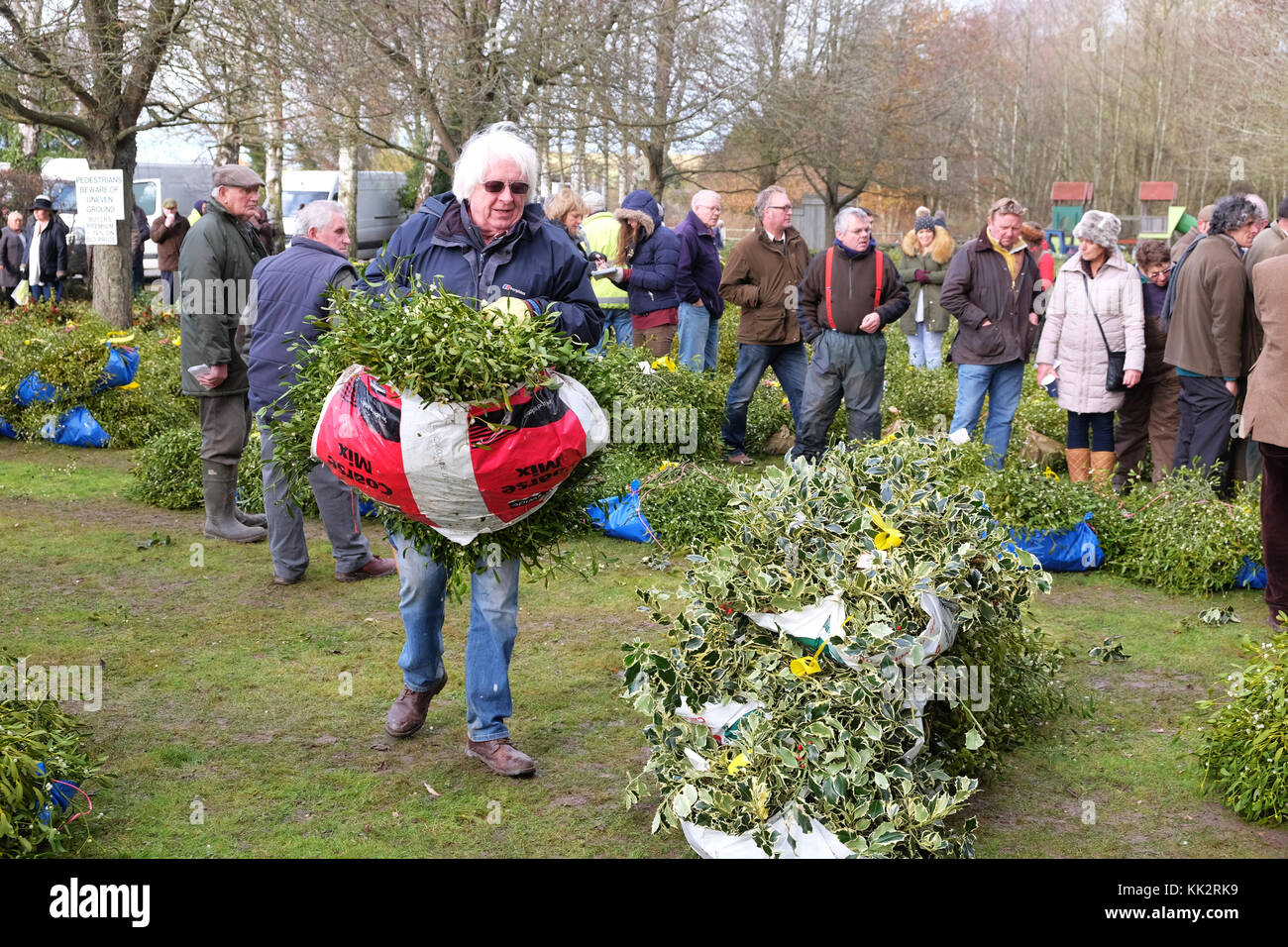 Burford house, Tenbury Wells, worcestershire - martedì 28 novembre 2017 - Il primo Natale agrifoglio e vischio asta della stagione. vischio aste sono state organizzate a Tenbury Wells per oltre 160 anni. un acquirente porta il suo fascio di vischio via dopo l'asta su un nitido inverno mattina. Credito: Steven maggio/alamy live news Foto Stock