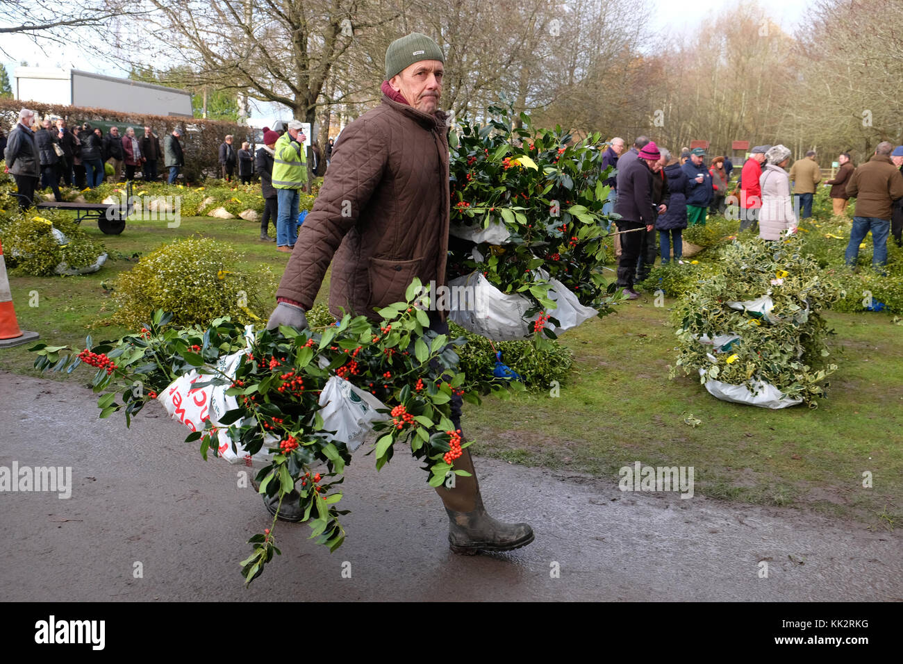 Burford house, Tenbury Wells, worcestershire - martedì 28 novembre 2017 - Il primo Natale agrifoglio e vischio asta della stagione. vischio aste sono state organizzate a Tenbury Wells per oltre 160 anni. Una coppia porta il suo carico di holly dopo l'asta su un nitido inverno mattina. Credito: Steven maggio/alamy live news Foto Stock