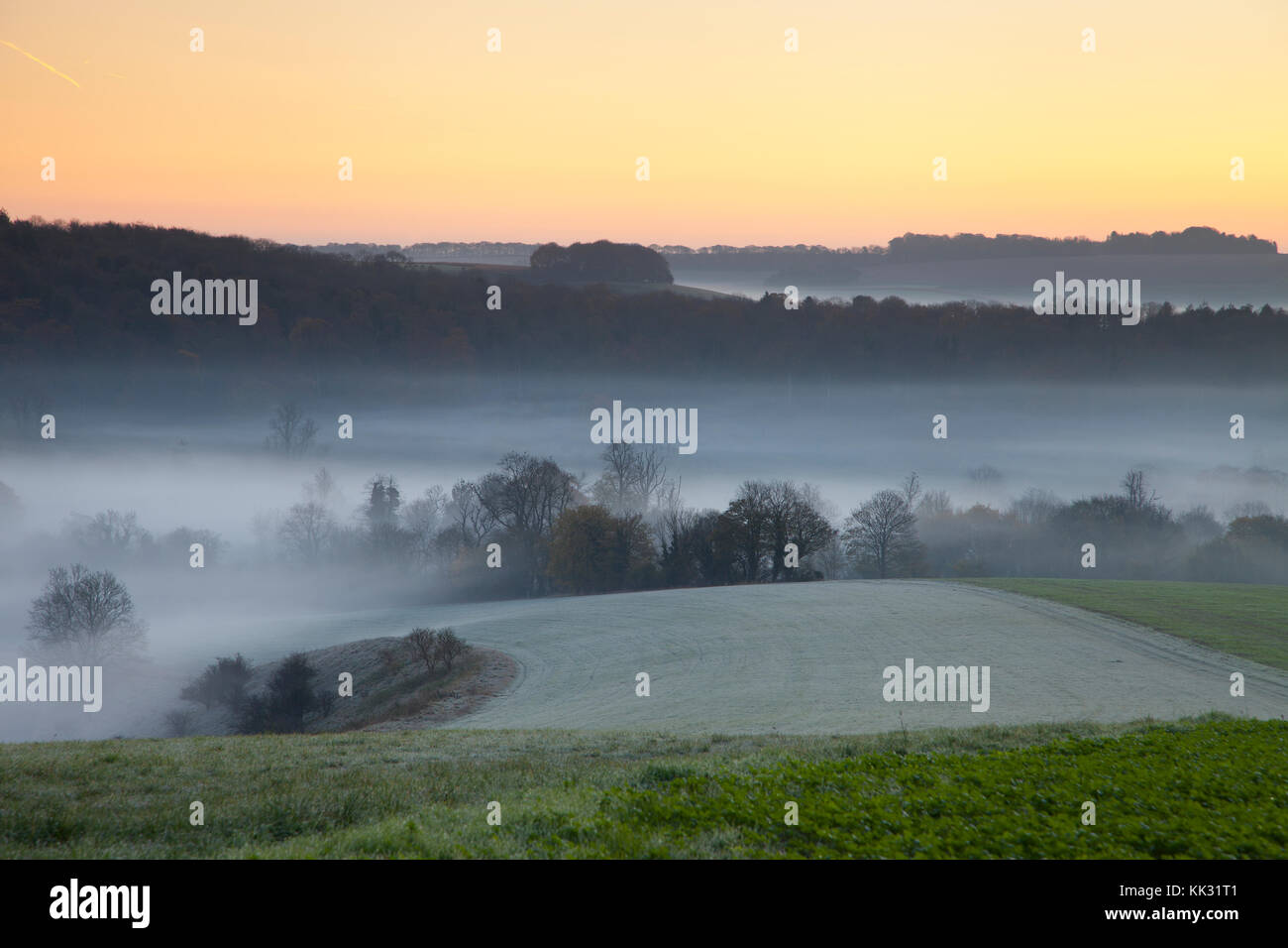 Early Morning mist cotley sulla collina vicino heytesbury nel Wiltshire. Foto Stock