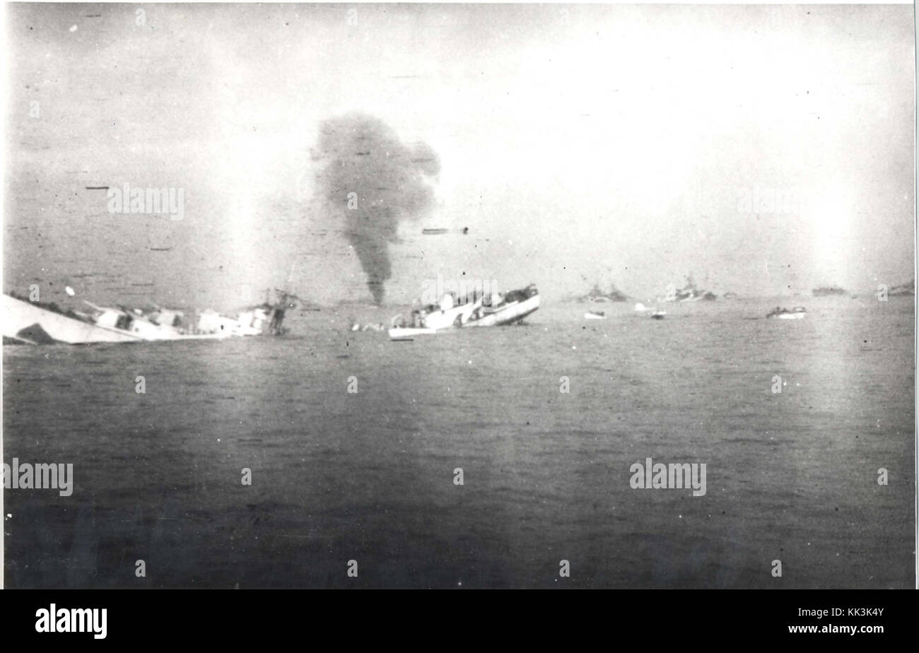 Naufragio Swift Foto Stock