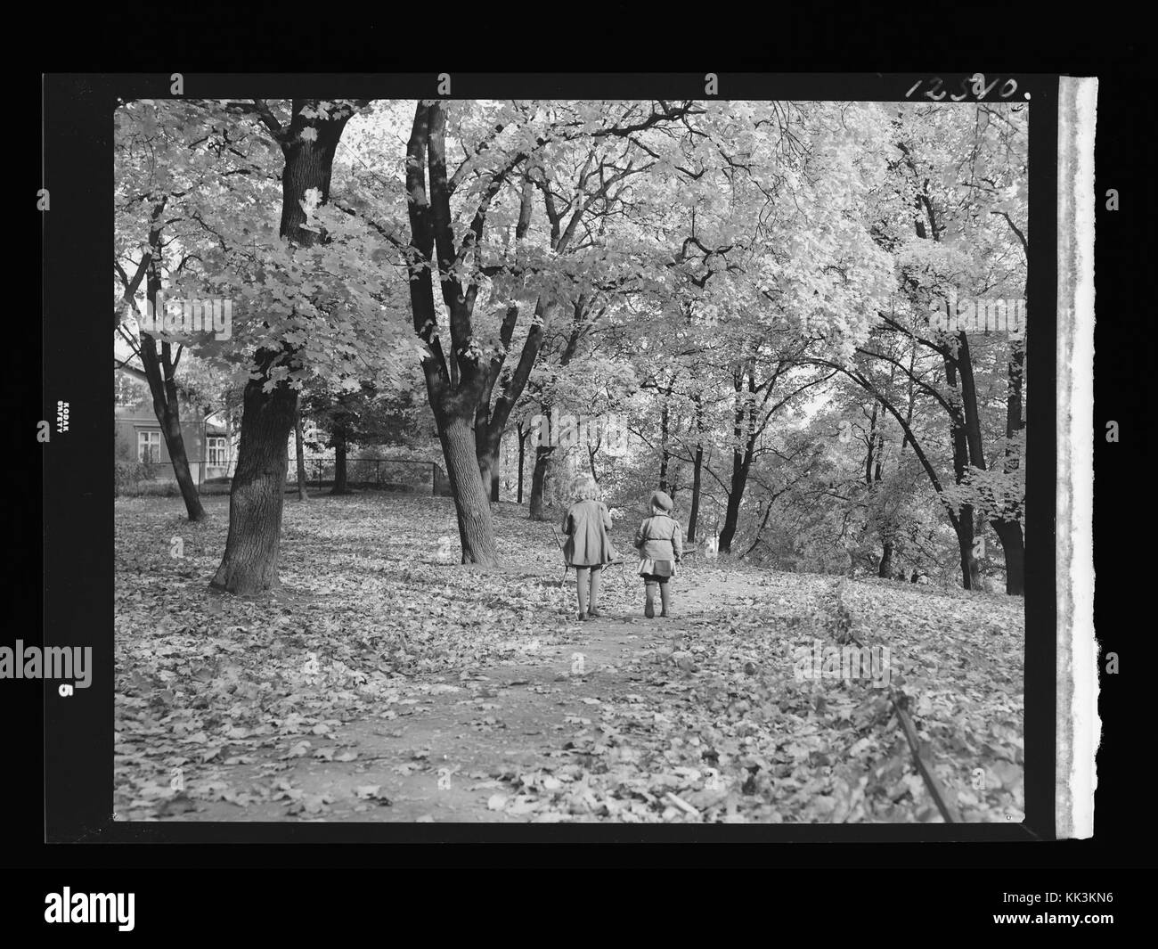 Slottsparken n. nb digifoto 20160506 00119 NB MIT 12510 AFR Foto Stock