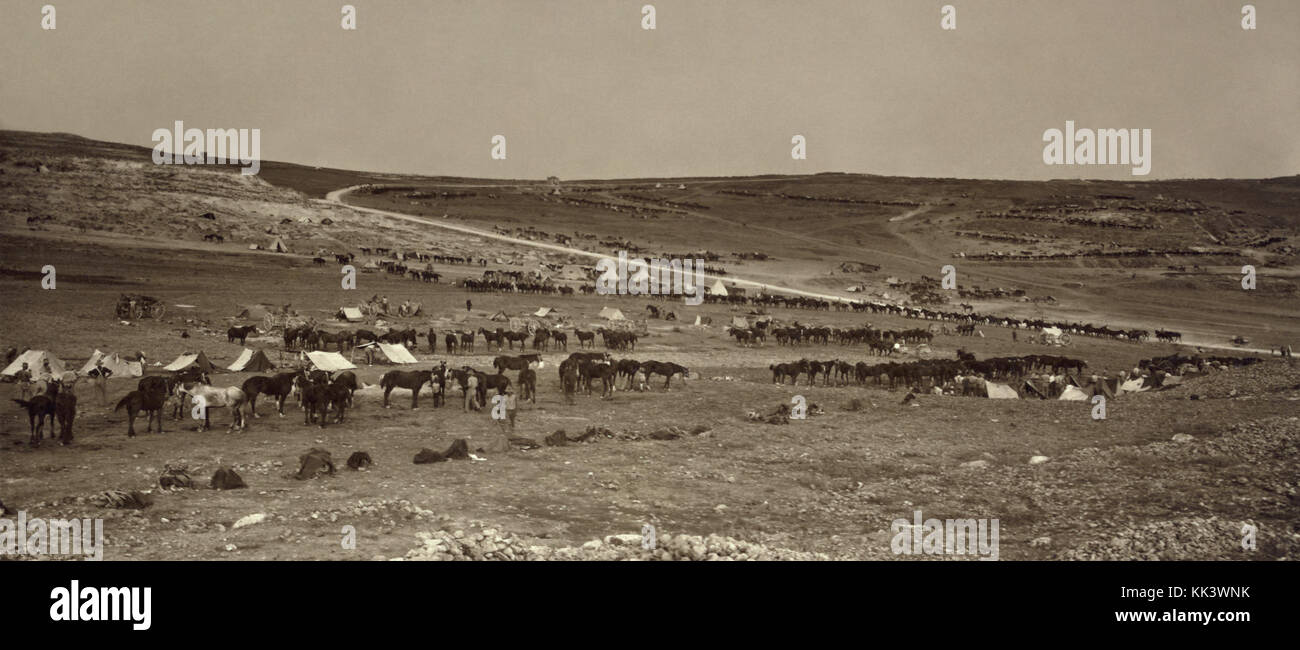Campi australiano su pendii di Olivet & Monte Scopus3 Foto Stock