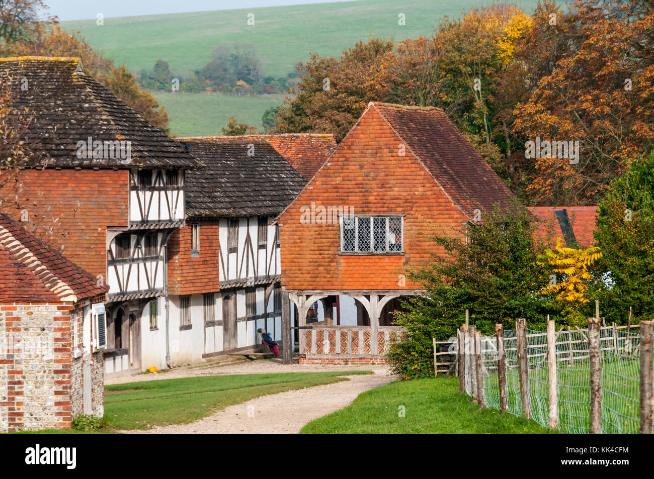 Il Weald and Downland Open Air Museum, Singleton, West Sussex. Foto Stock