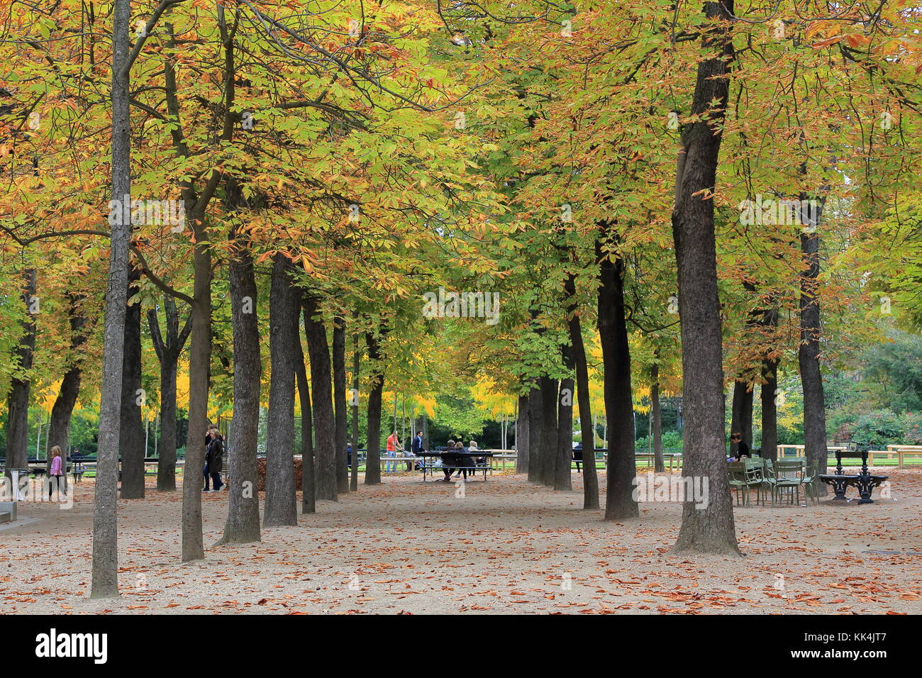 Giardino parigino con fila di alberi che conduce al giovane seduto sul banco di lavoro. Foto Stock