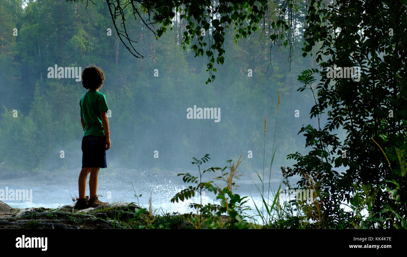 La Svezia, Lapponia svedese. 2014/08/06. Vicino al circolo polare artico, Storforsen cascata nella zona circostante di Arvidsjaur (rapide che si estendono su Foto Stock