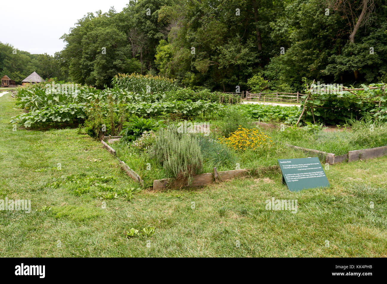 Il Pioneer farm sundries campo sul Mount Vernon Estate, ad Alexandria, Virginia. Foto Stock