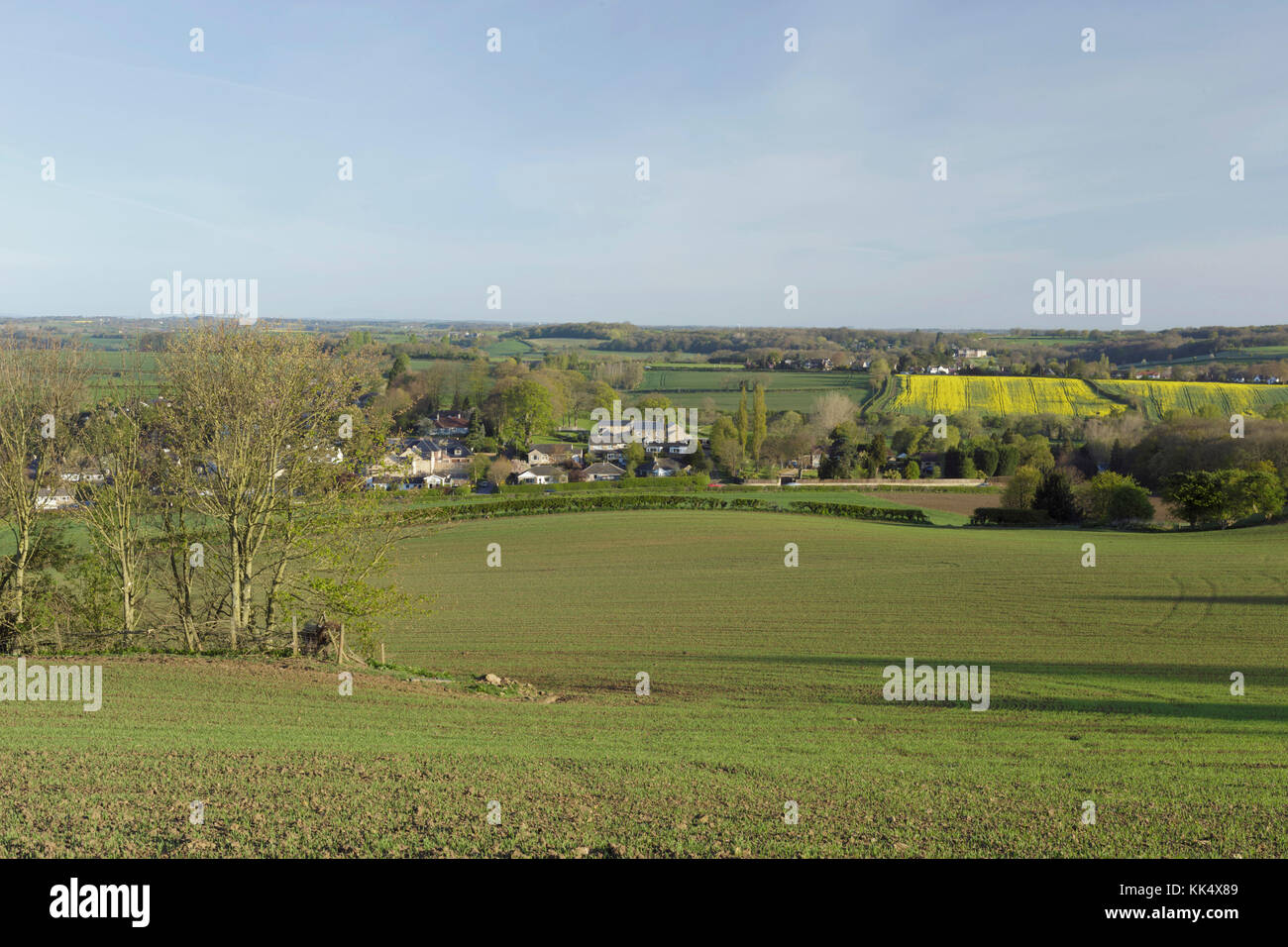 Vista dei terreni agricoli, guardando verso Bardsey, Est Rigton, West Yorkshire, Inghilterra, Aprile Foto Stock