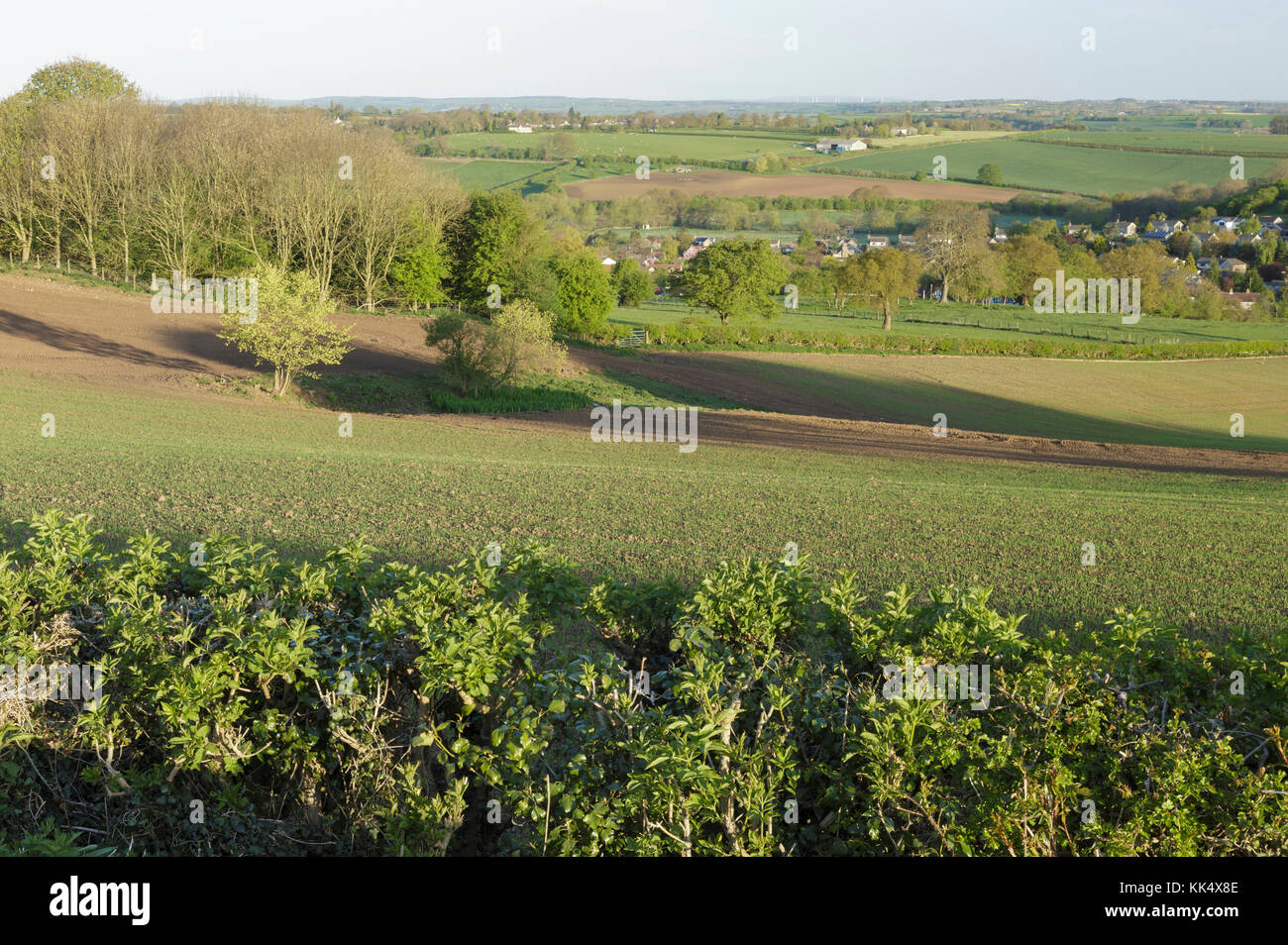 Vista dei terreni agricoli, guardando verso Bardsey, Est Rigton, West Yorkshire, Inghilterra, Aprile Foto Stock