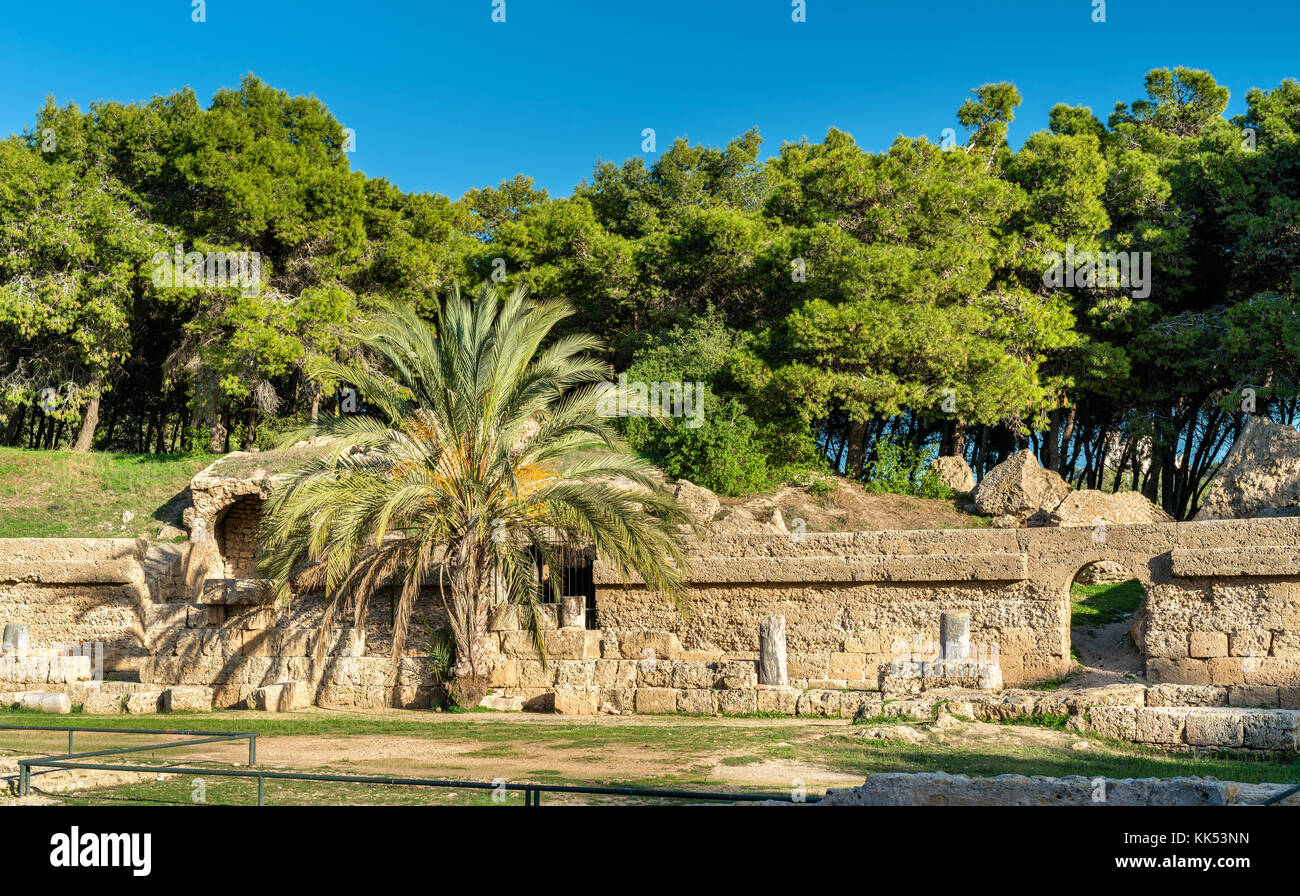 L'anfiteatro di Cartagine, un antico anfiteatro romano a Tunisi, Tunisia Foto Stock