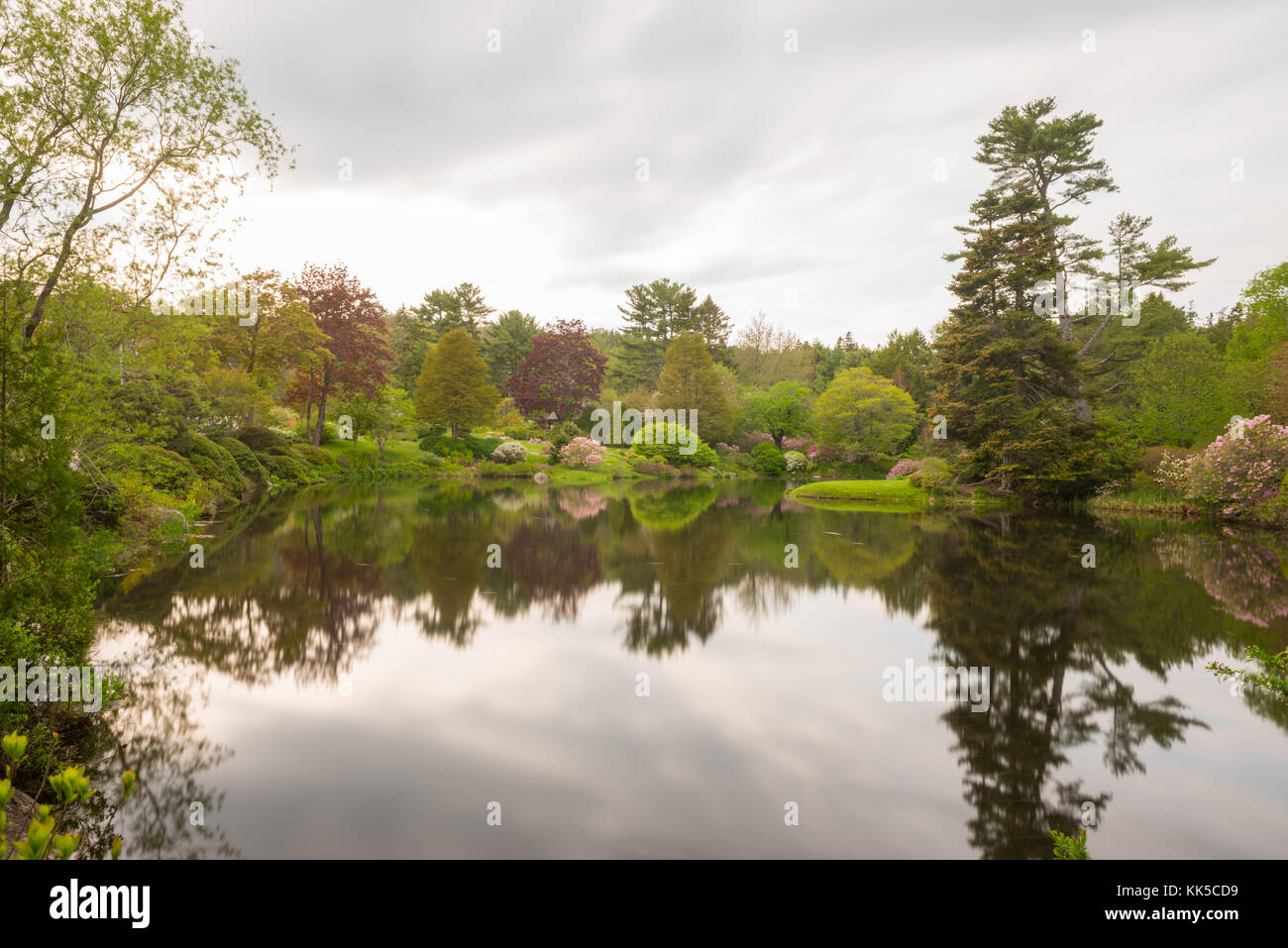 Asticou azalea di giardini in stile giapponese nell'isola di Mount Desert, Maine. Foto Stock