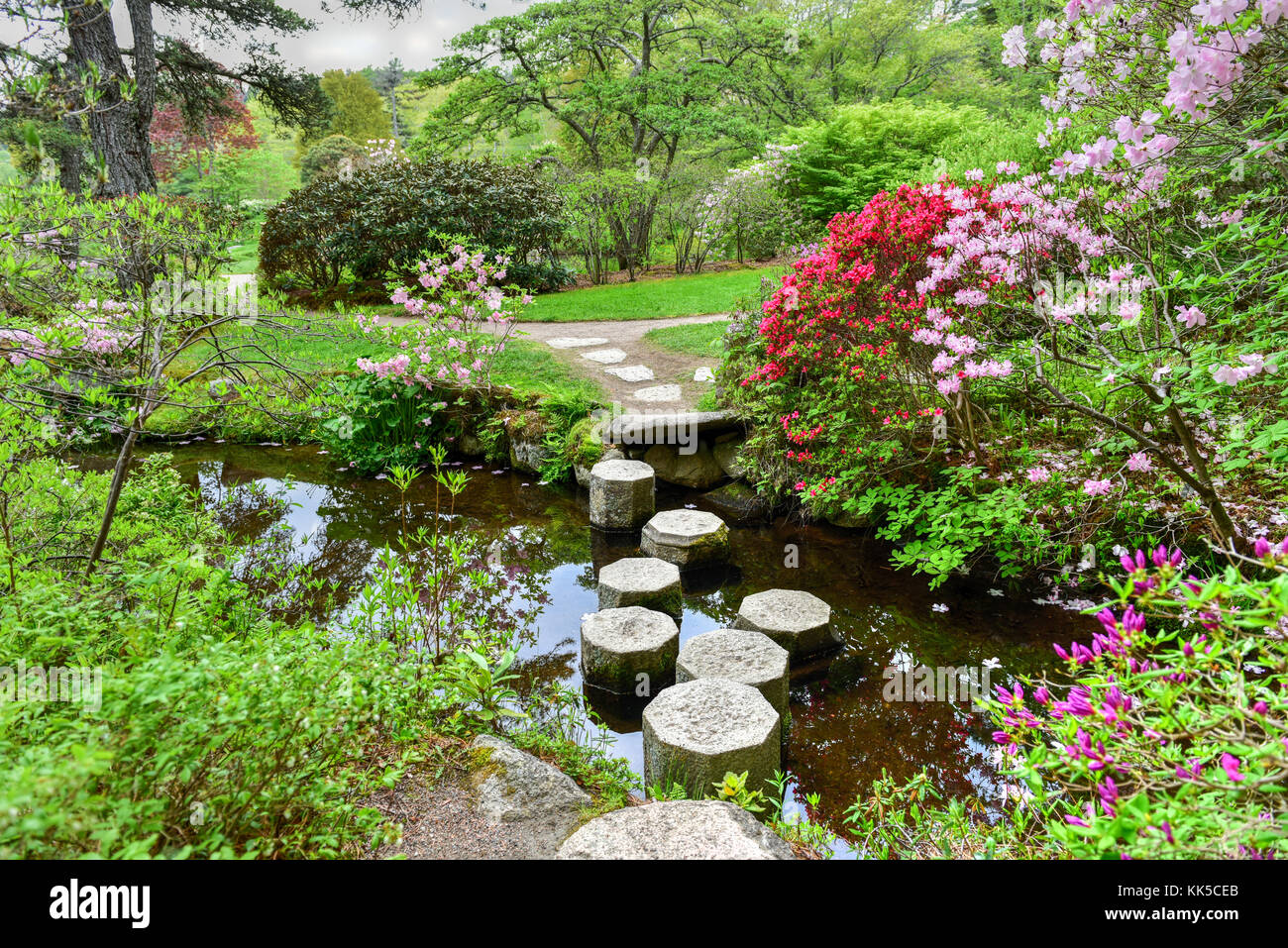Asticou azalea di giardini in stile giapponese nell'isola di Mount Desert, Maine. Foto Stock