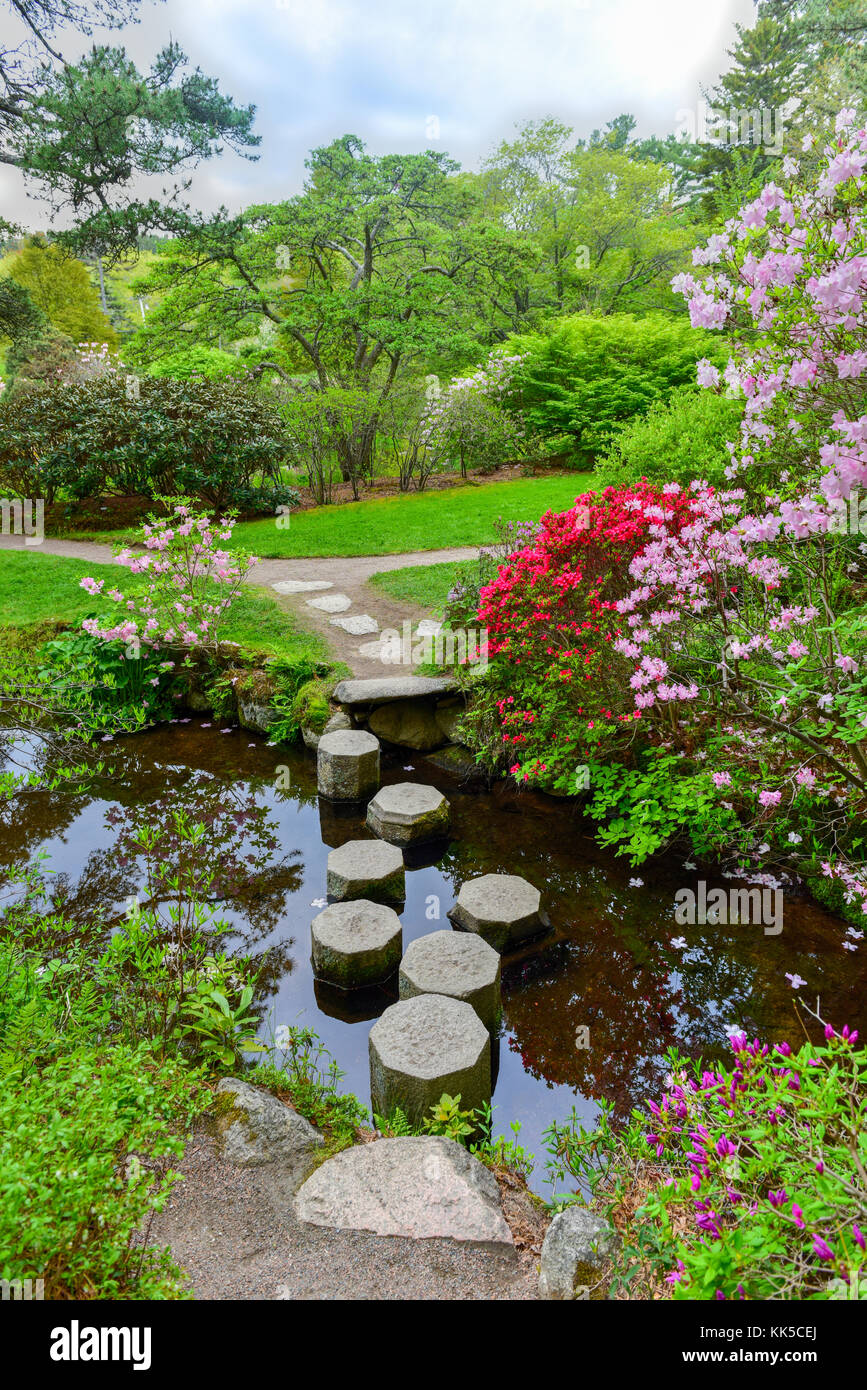 Asticou Azalea Gardens in stile giapponese a Mount Desert Island, Maine. Foto Stock