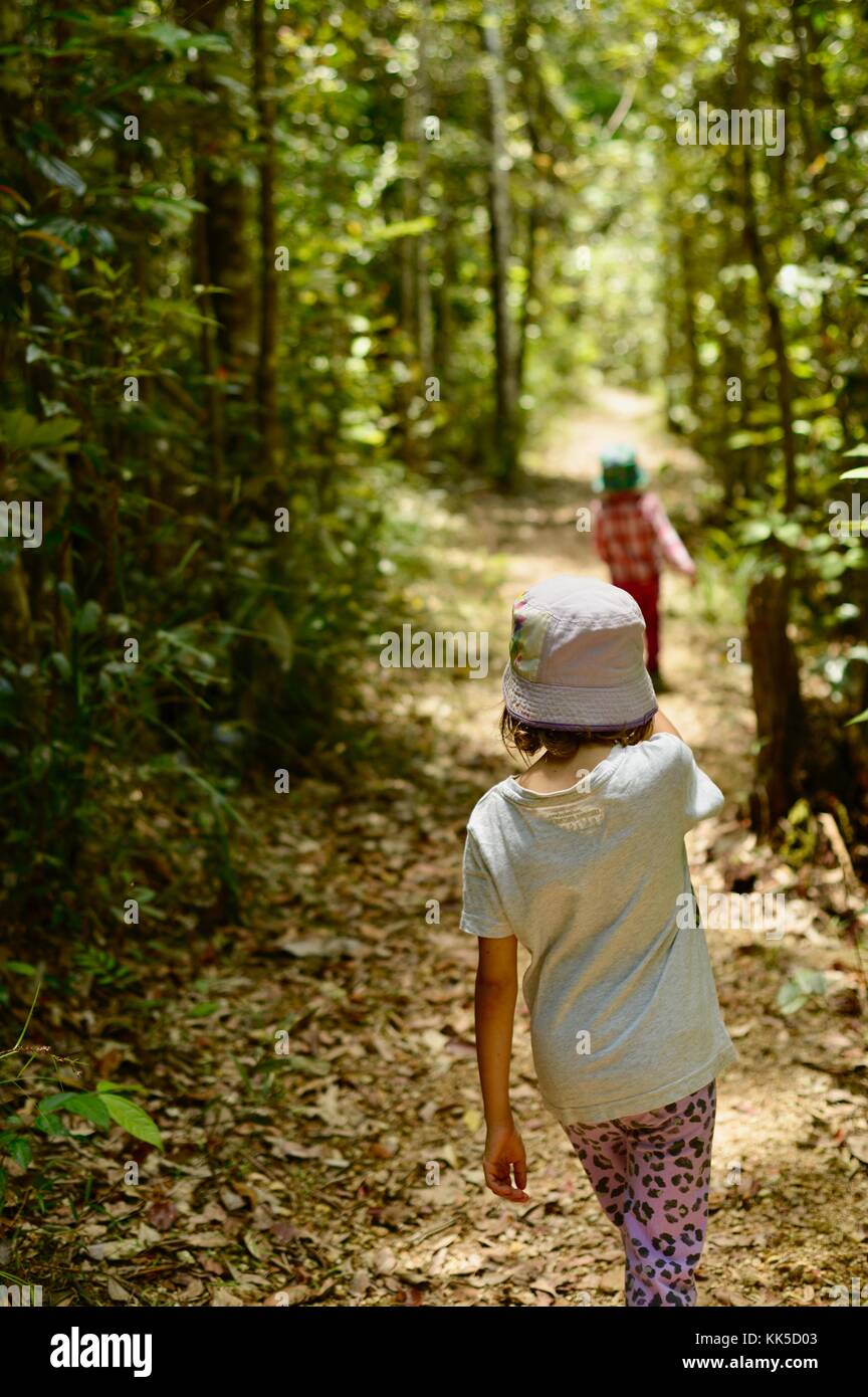 I bambini a piedi attraverso una foresta pluviale a wallaman cade in girringun national park, Queensland, Australia Foto Stock