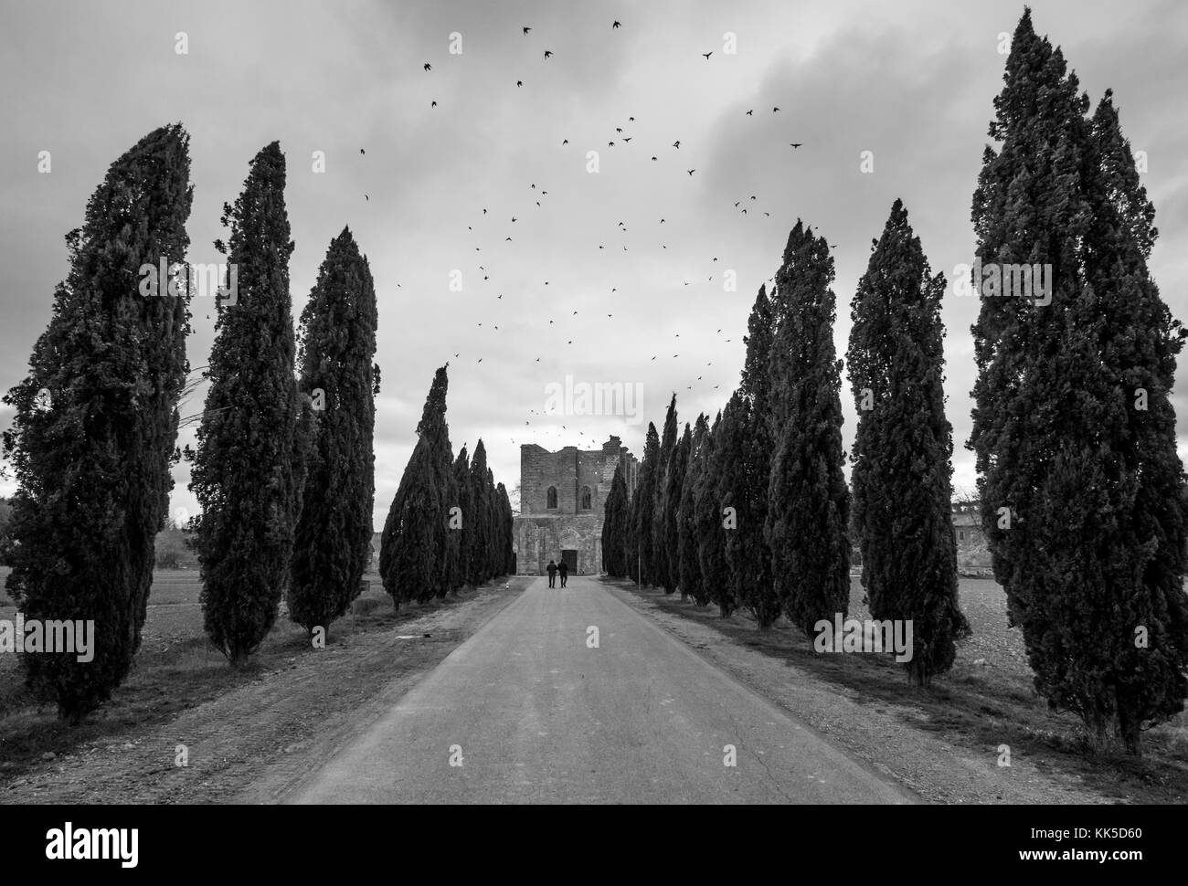 Abbazia di San Galgano (Italia) - vecchio monastero cattolico in una valle isolata della provincia di siena, Regione Toscana. il tetto è crollato dopo un colpo di fulmine Foto Stock