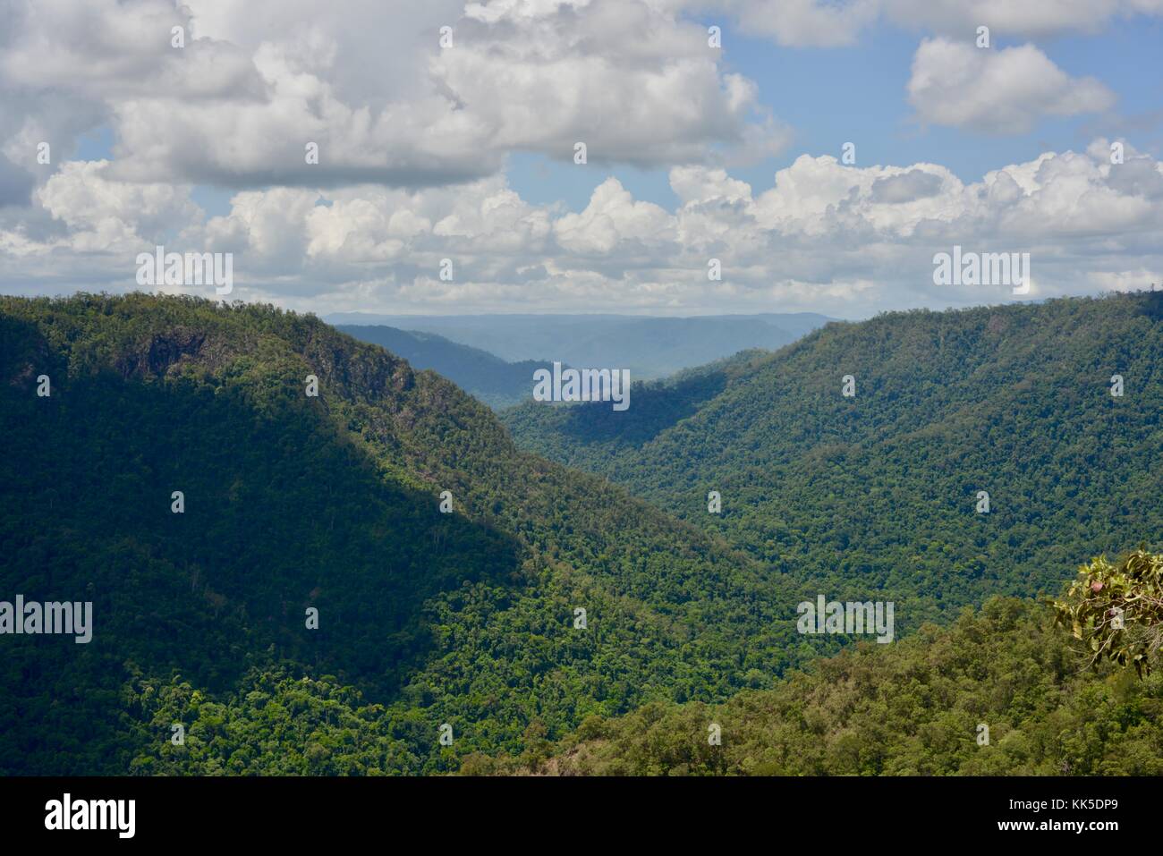 Wallaman cade in girringun national park, Queensland, Australia Foto Stock