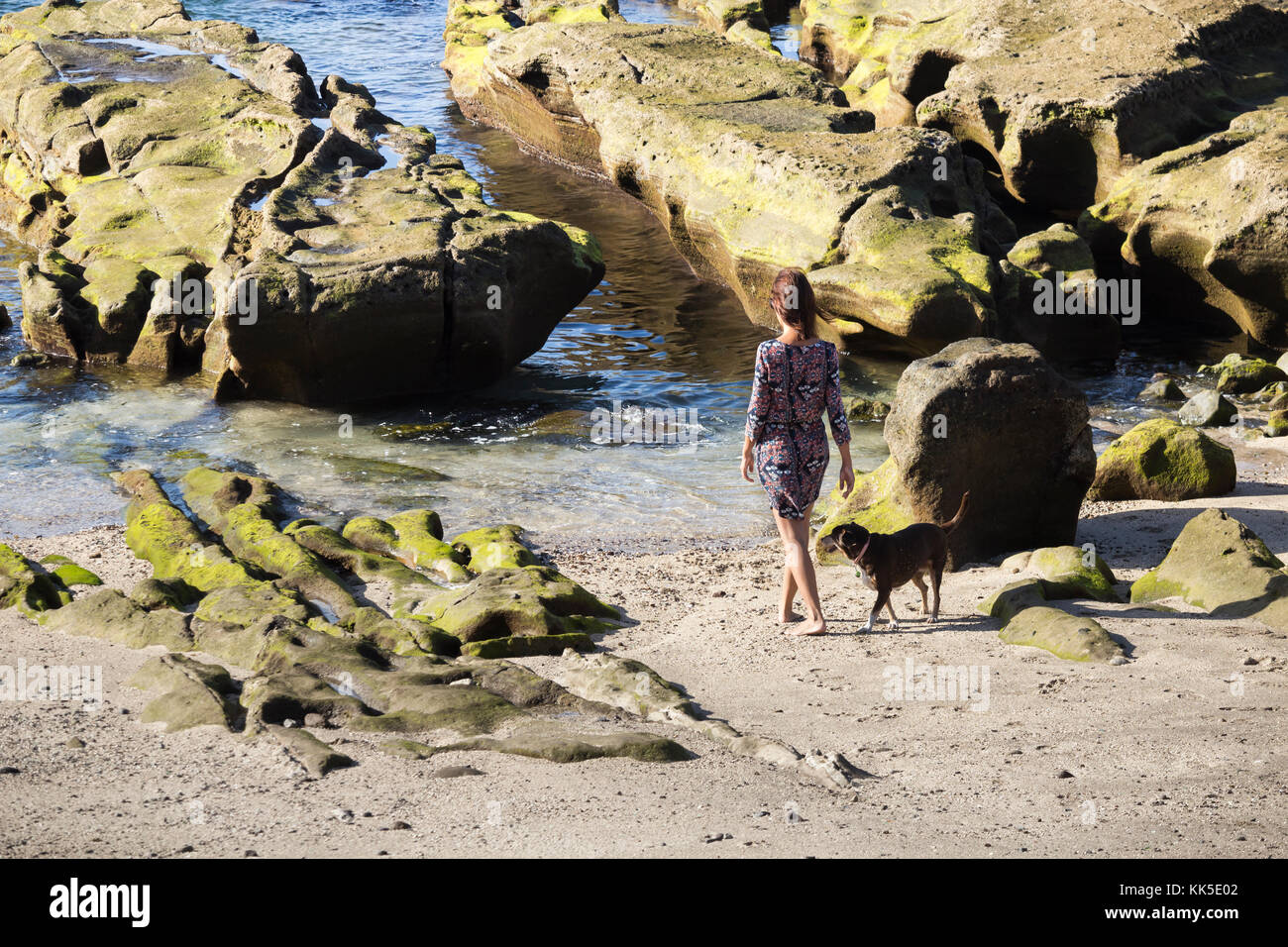 Donna cane a camminare sulla spiaggia Foto Stock