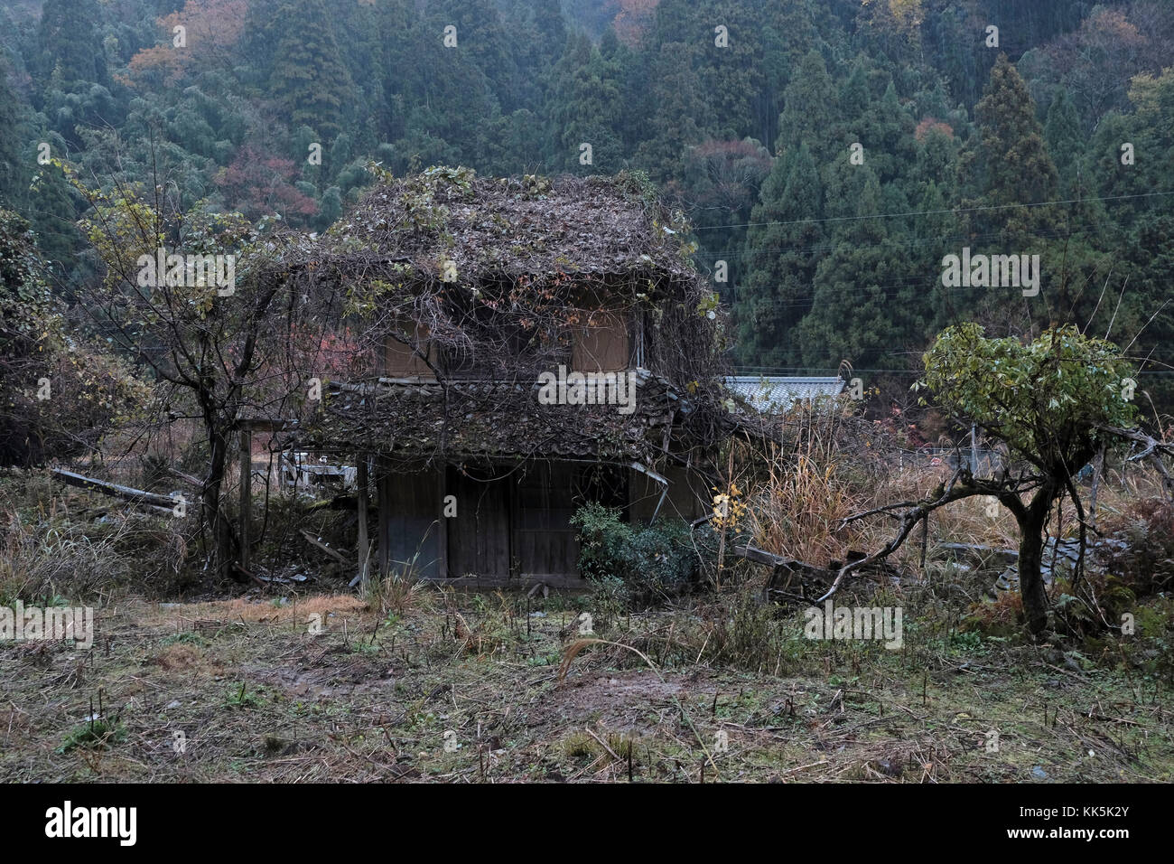 Casa abbandonata in campagna in ayaba, Giappone. Foto Stock