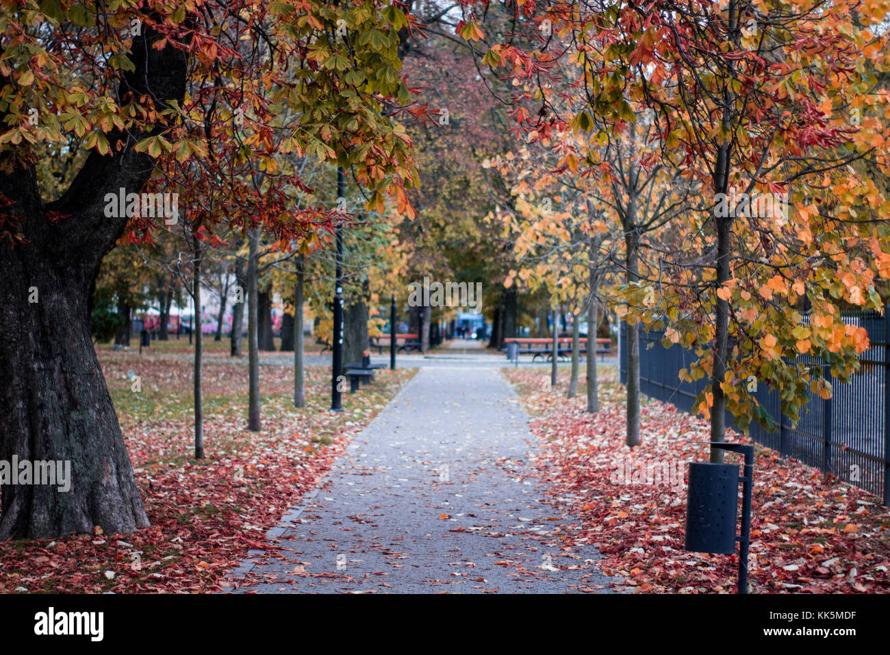 Paesaggio autunnale park persona a piedi a un parco con foglie sul terreno e di un edificio bianco Foto Stock