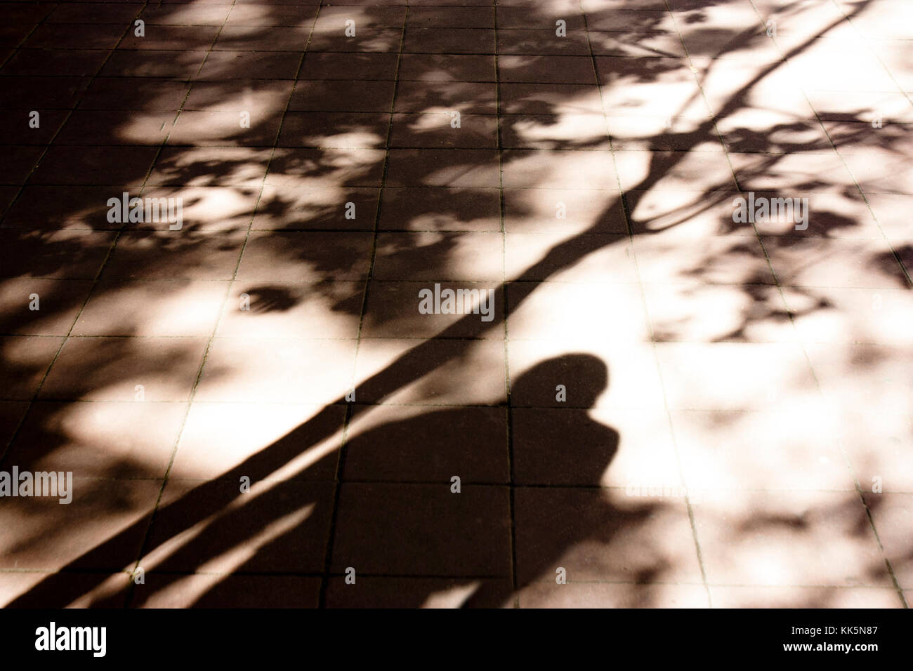 Sfocata ombre e sagome di una persona in piedi sotto un albero in bianco e nero e seppia luce del sole su una strada di città marciapiede Foto Stock