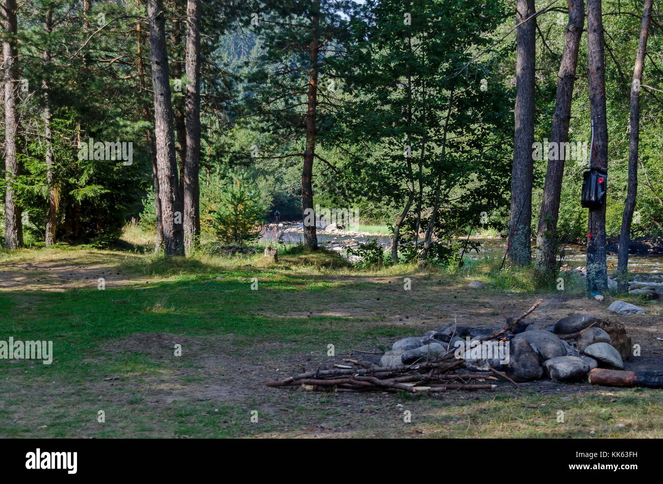 Bellissima vista della foresta autunnale e il fiume iskar in montagna Rila, bulgaria, europa Foto Stock